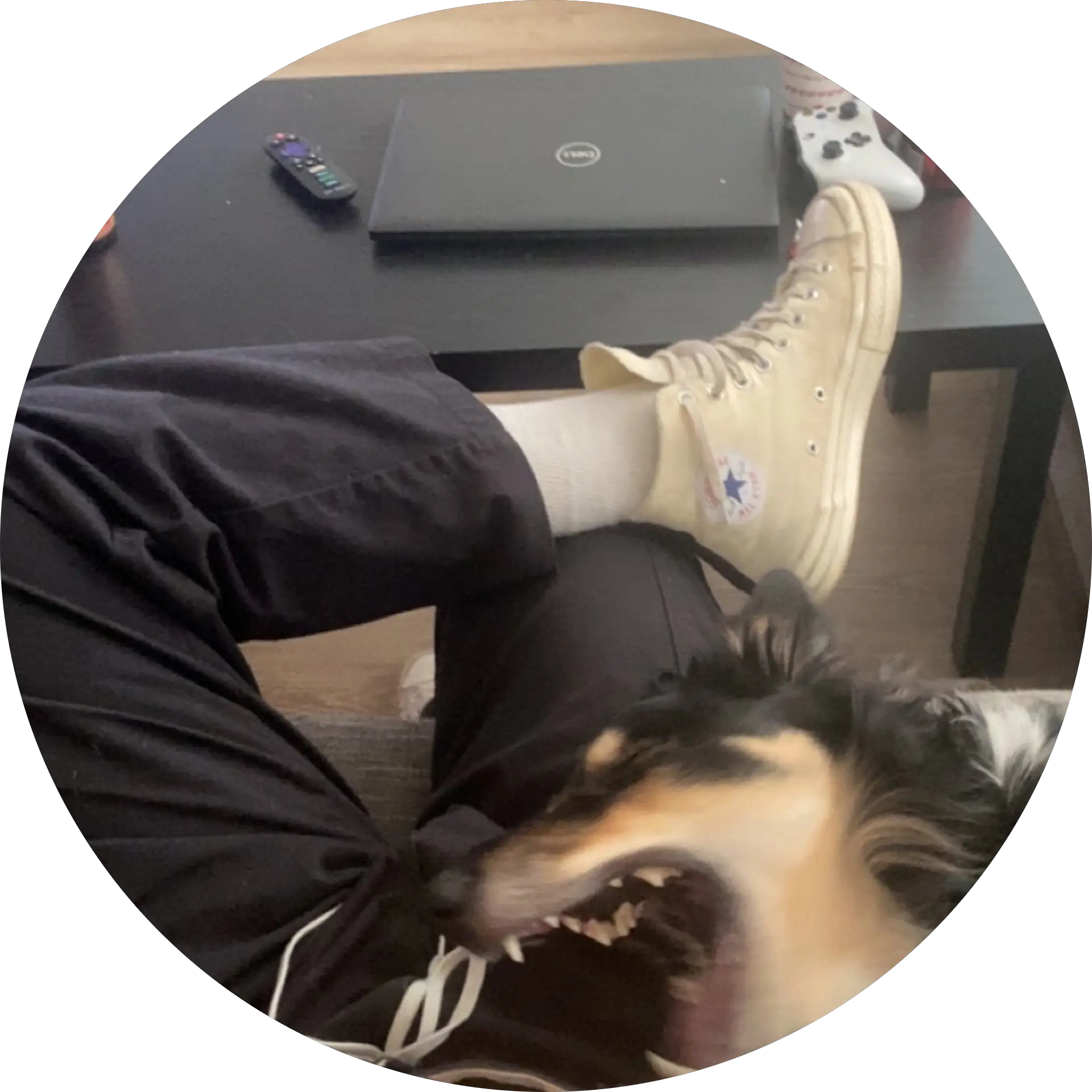 GusBus Q