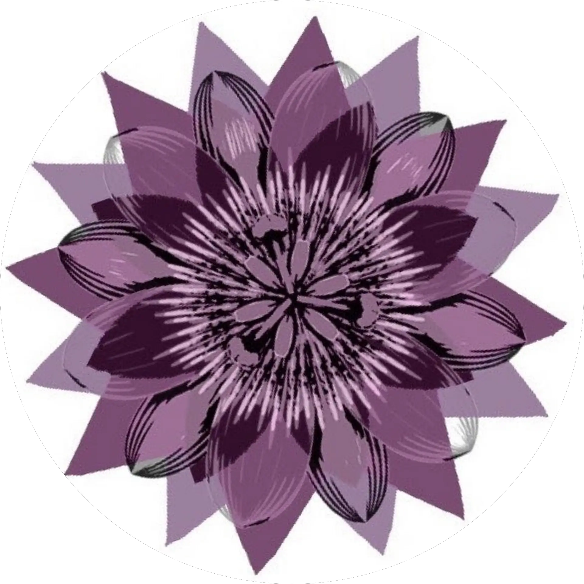Flow Space
