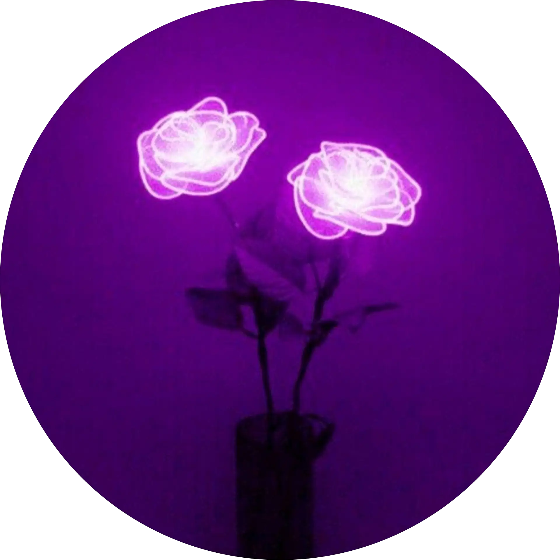 Reerec 1