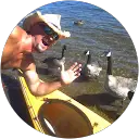 Steve Wilcox