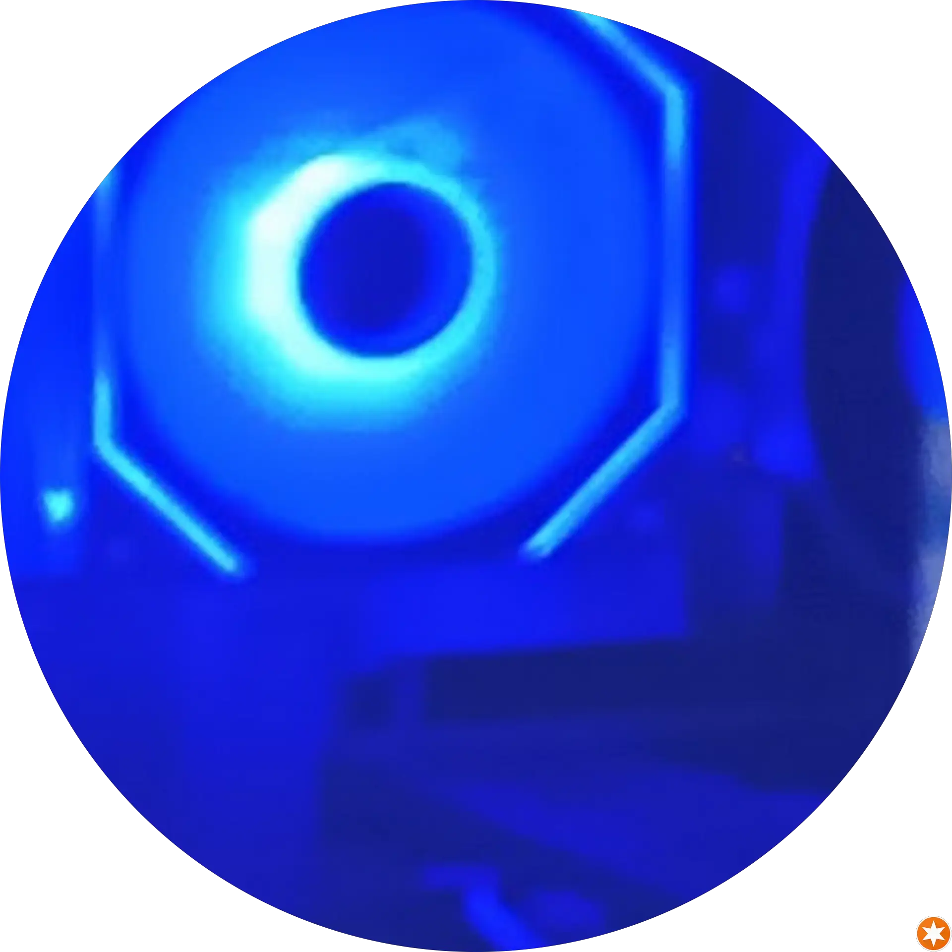 Fishguy 487