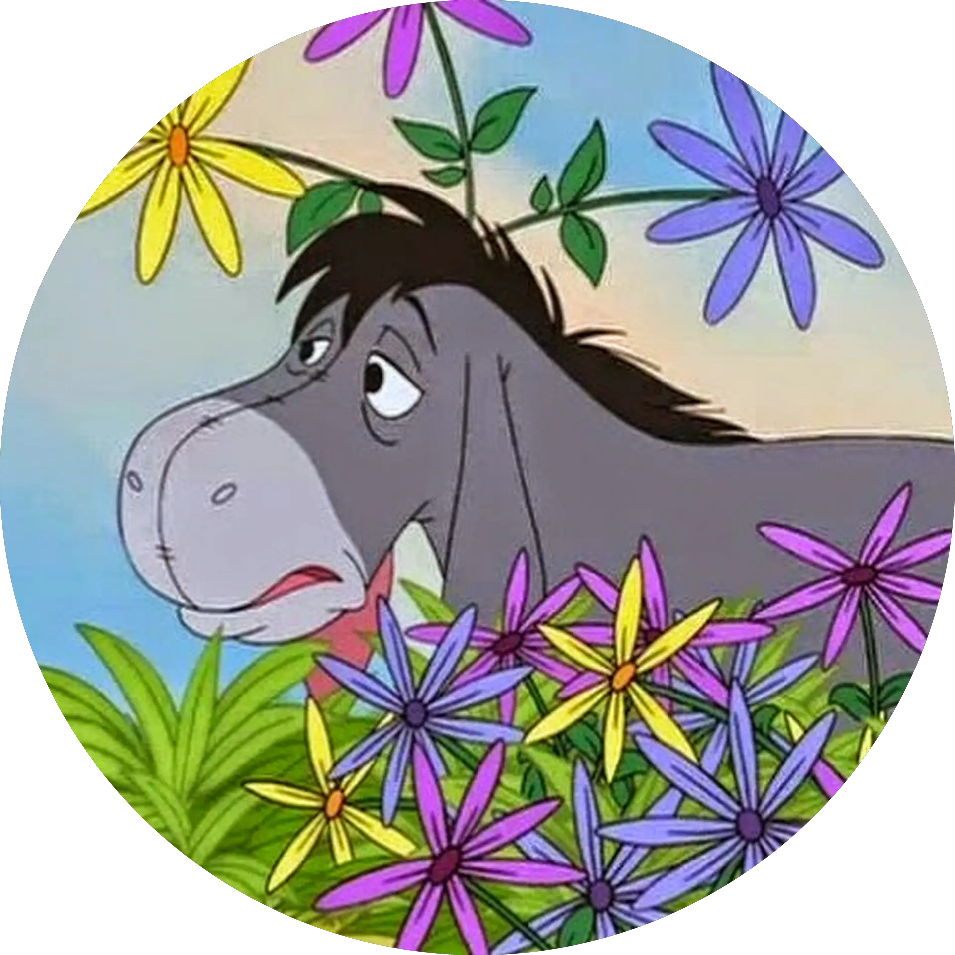 MarionRachel Dangler