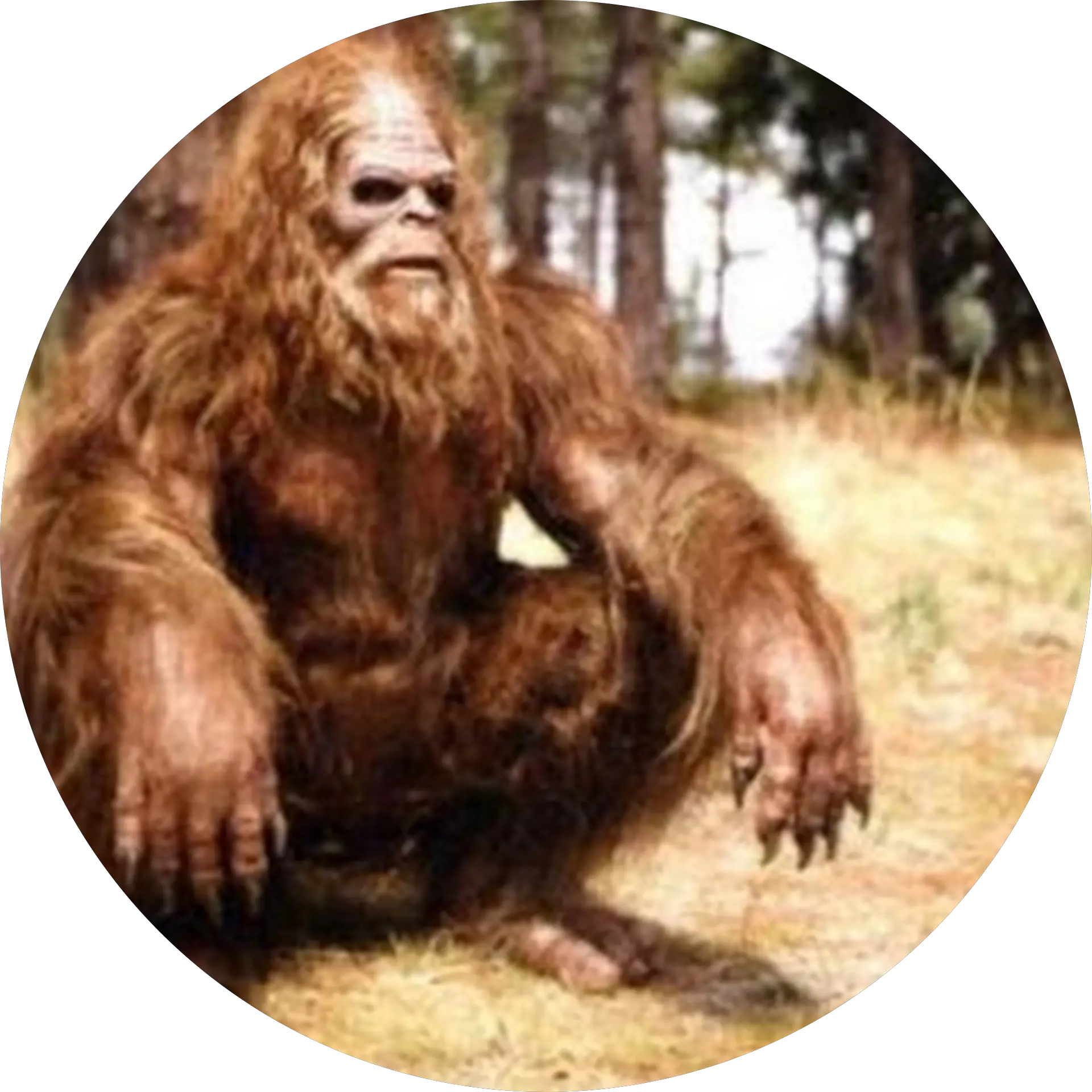 Sasquatch Keoppen