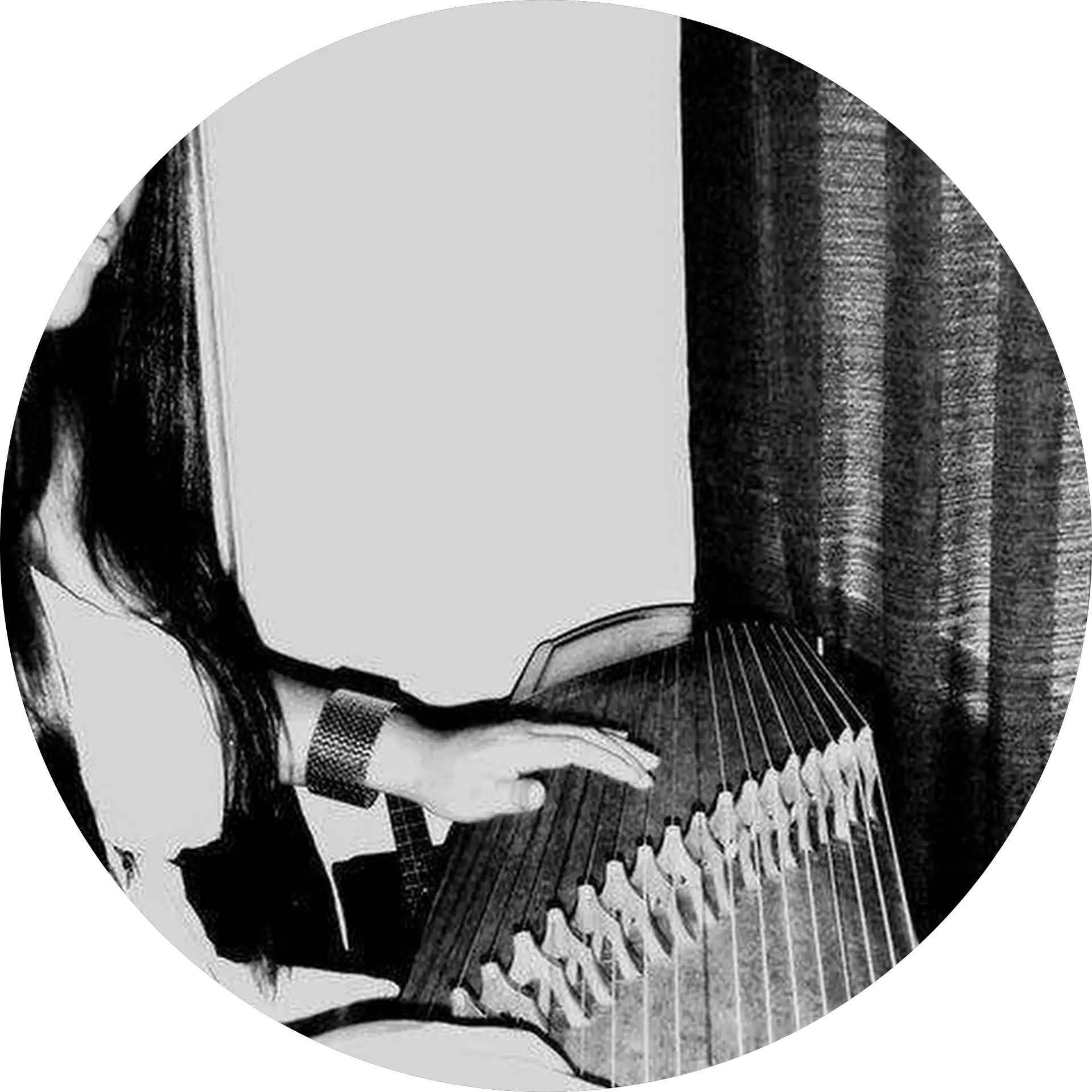 TRANG SCHULTZ