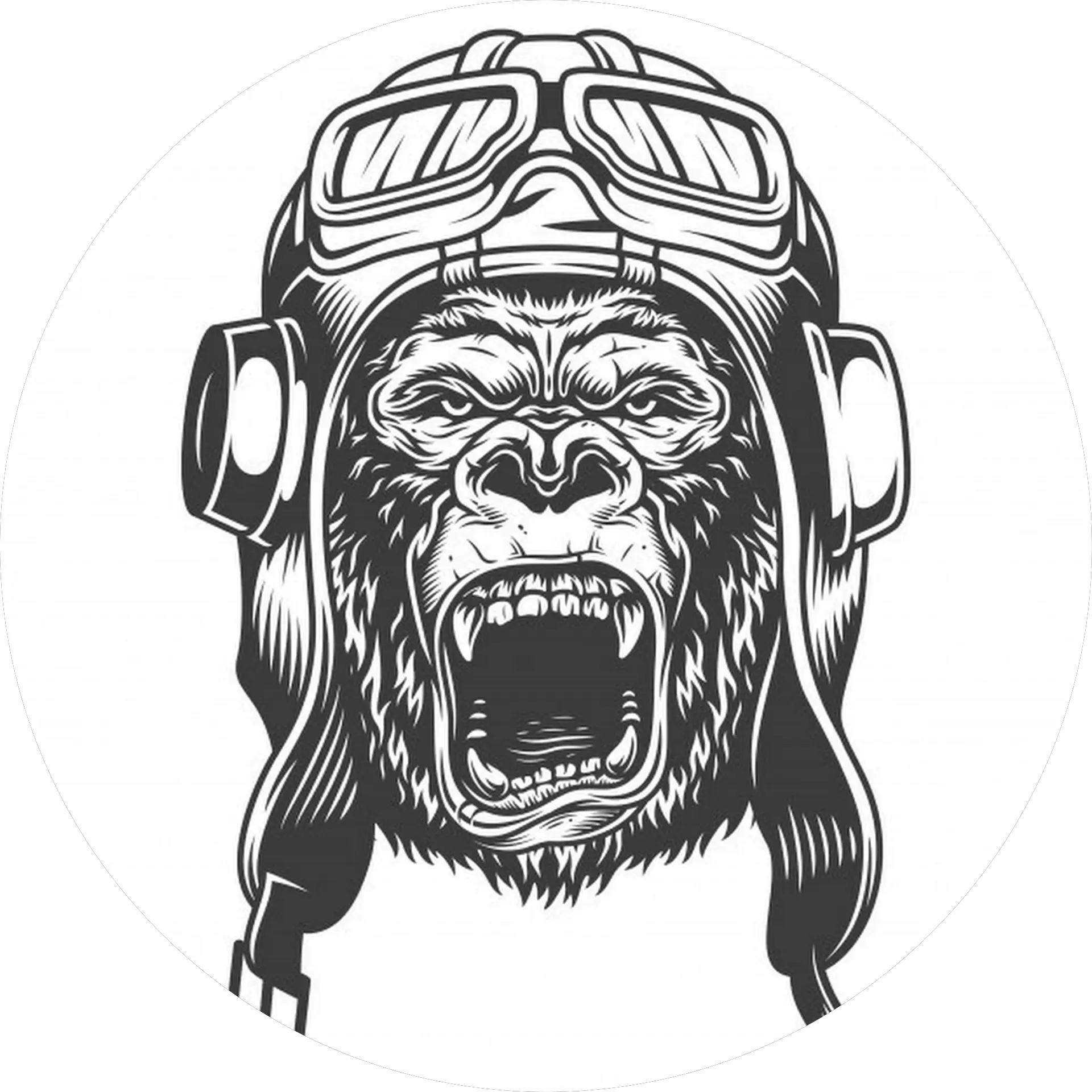 Congo Bush Pilot