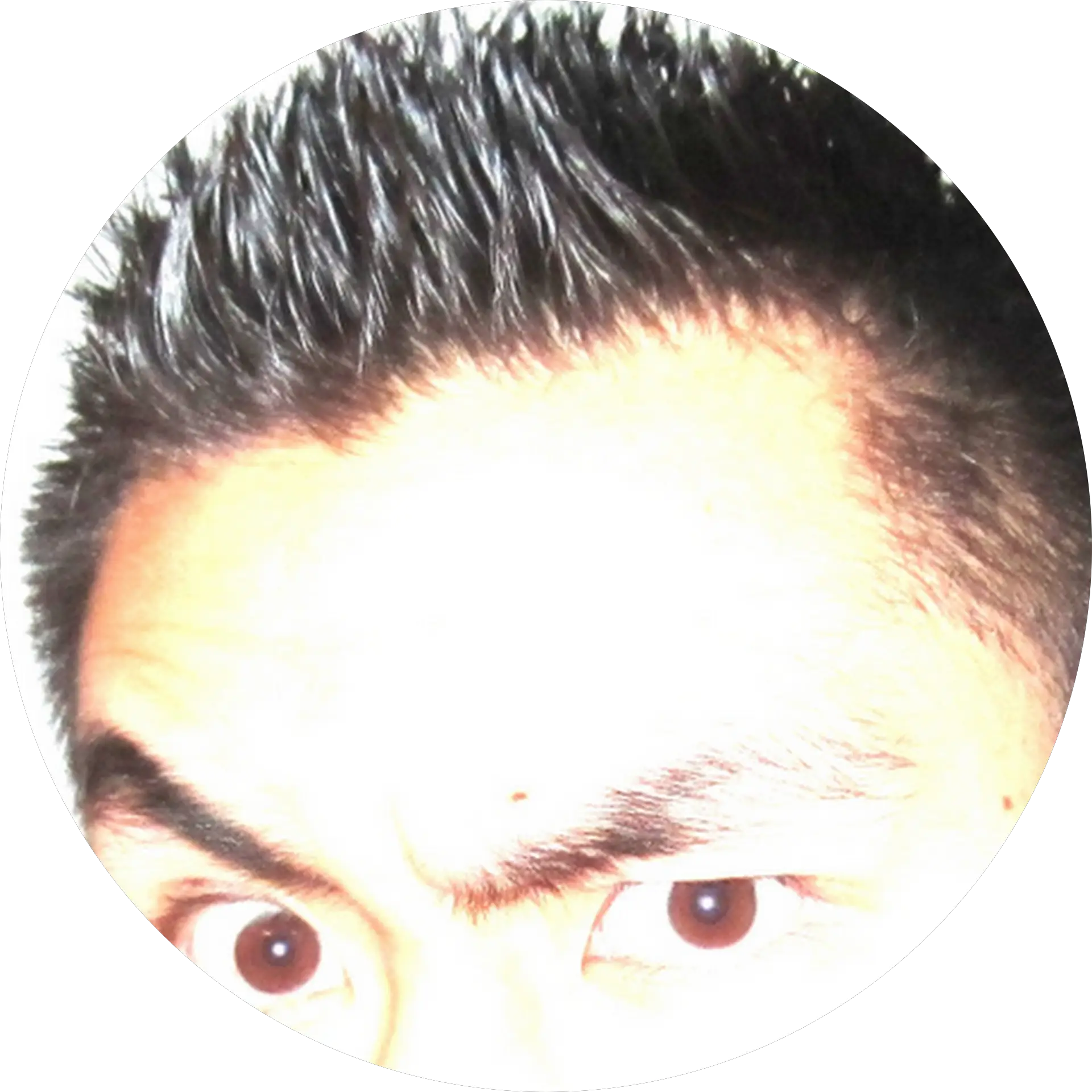 CooLeo Coo Leo
