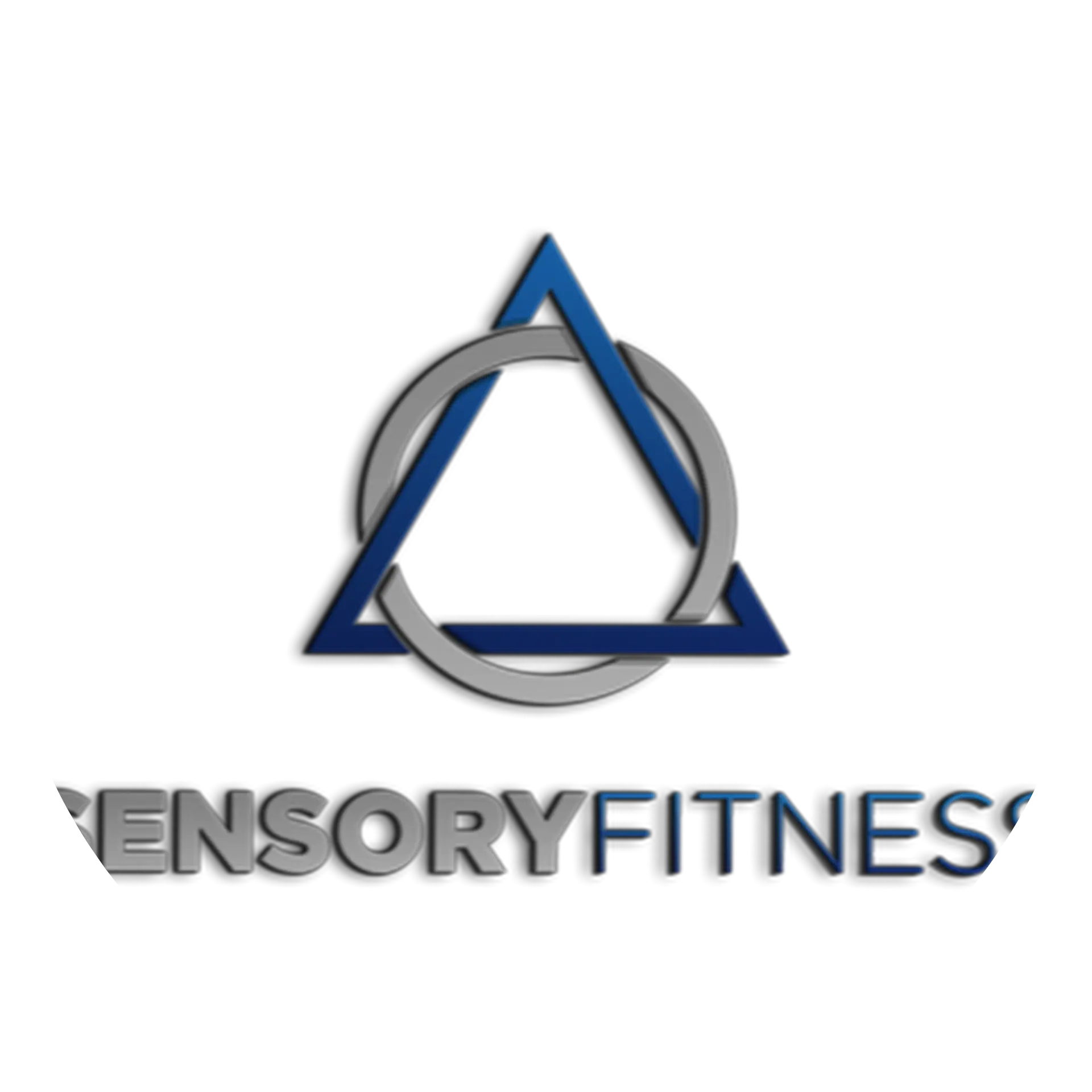 Sensory Fitness LLC