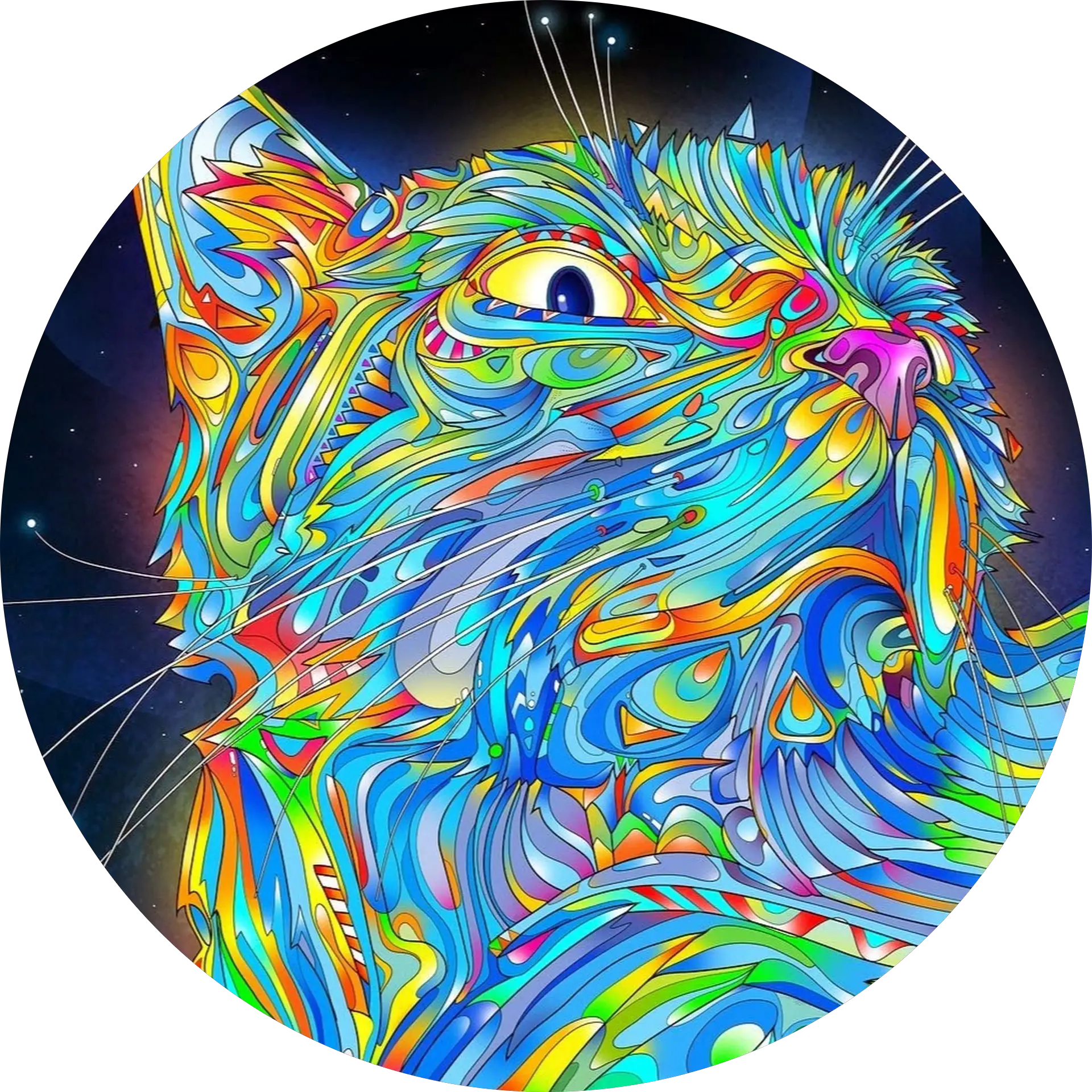 kra2ycat128