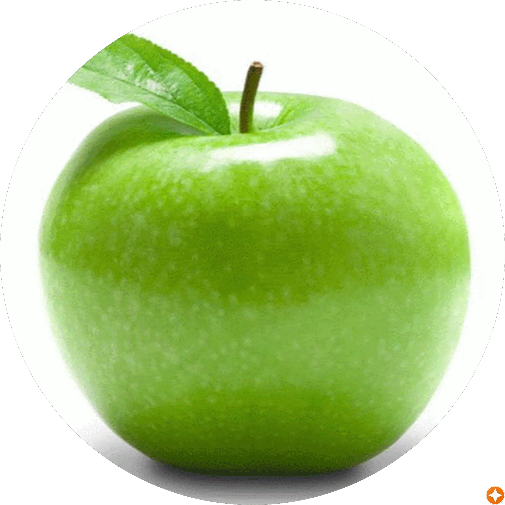Z epol