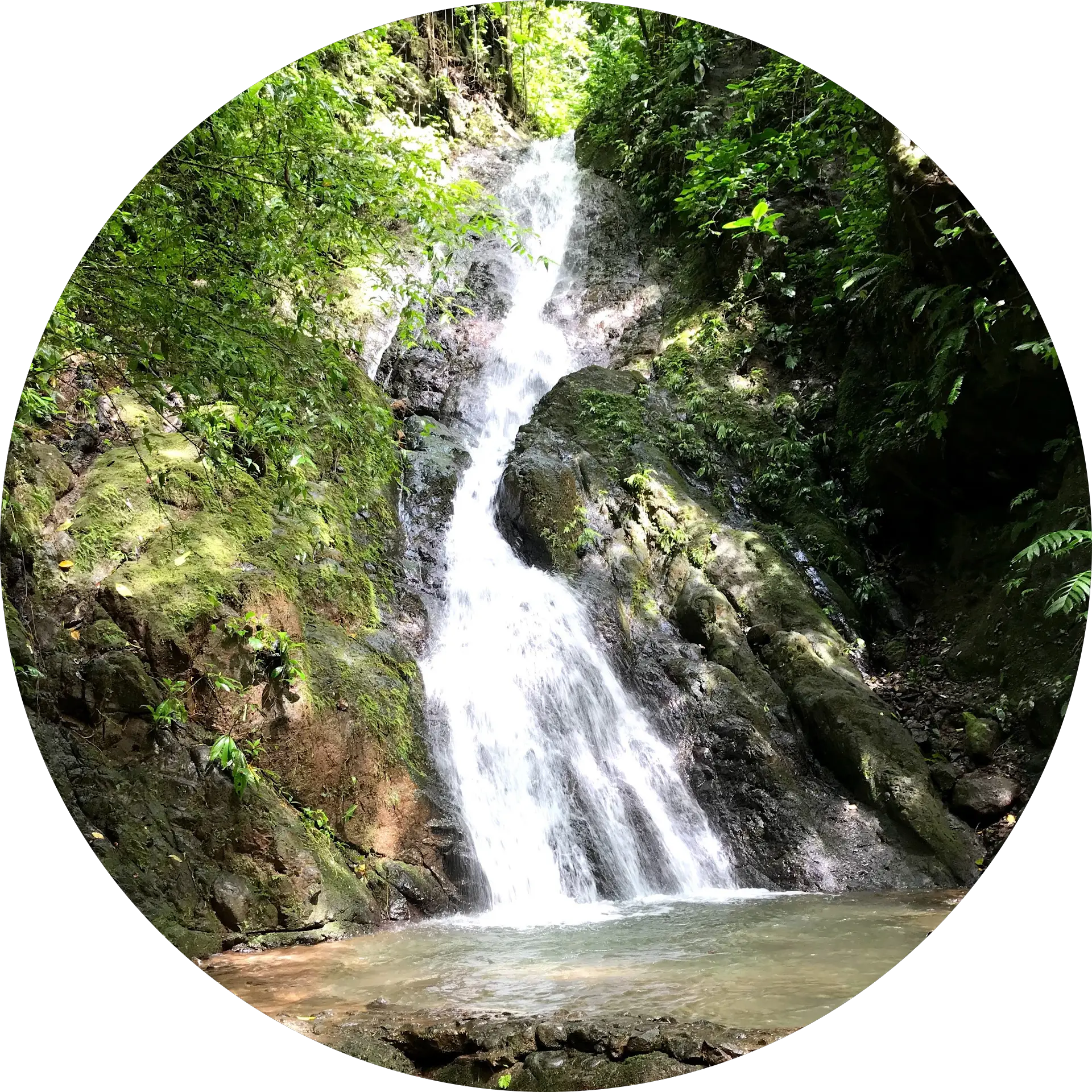 Gerardo Goicochea
