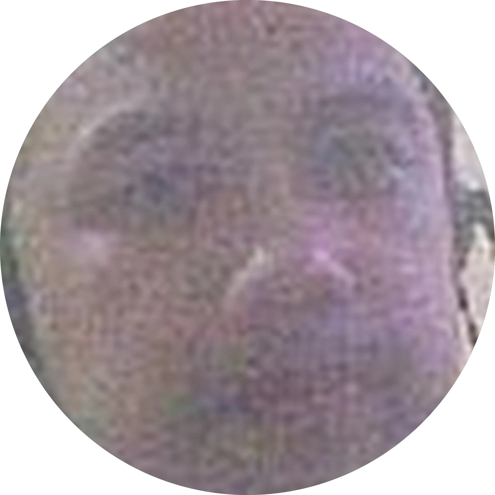 cancer guess