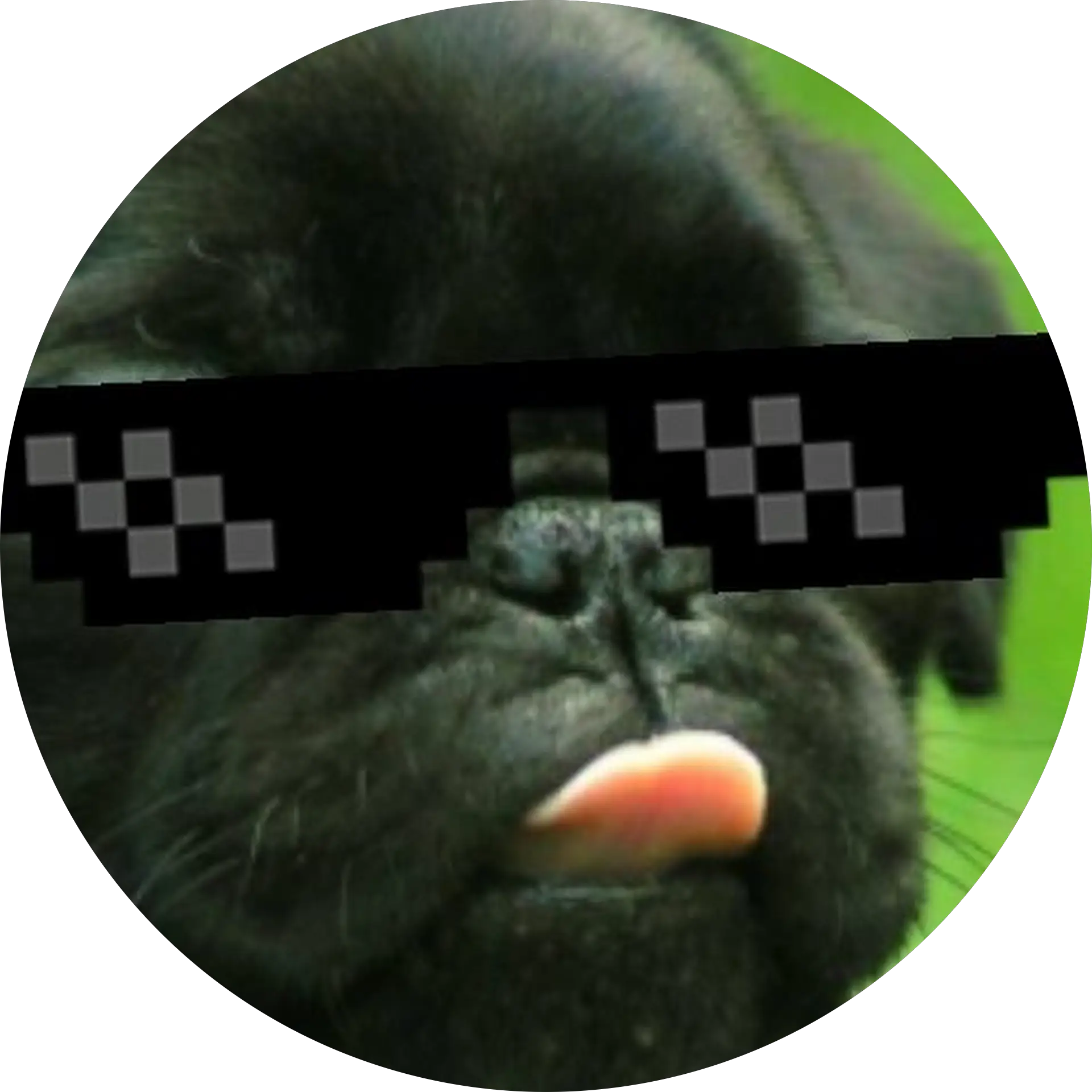 Joe Mama