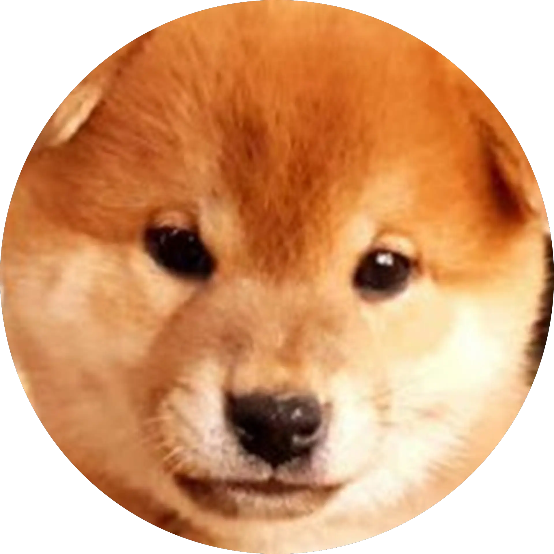 J W