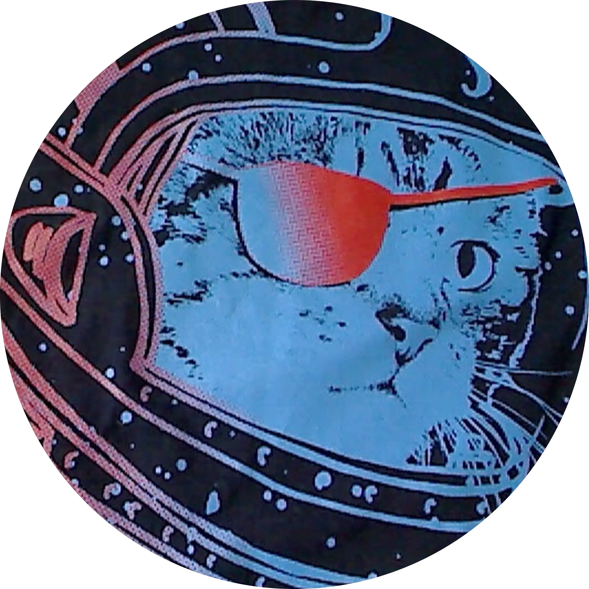 Space Kat