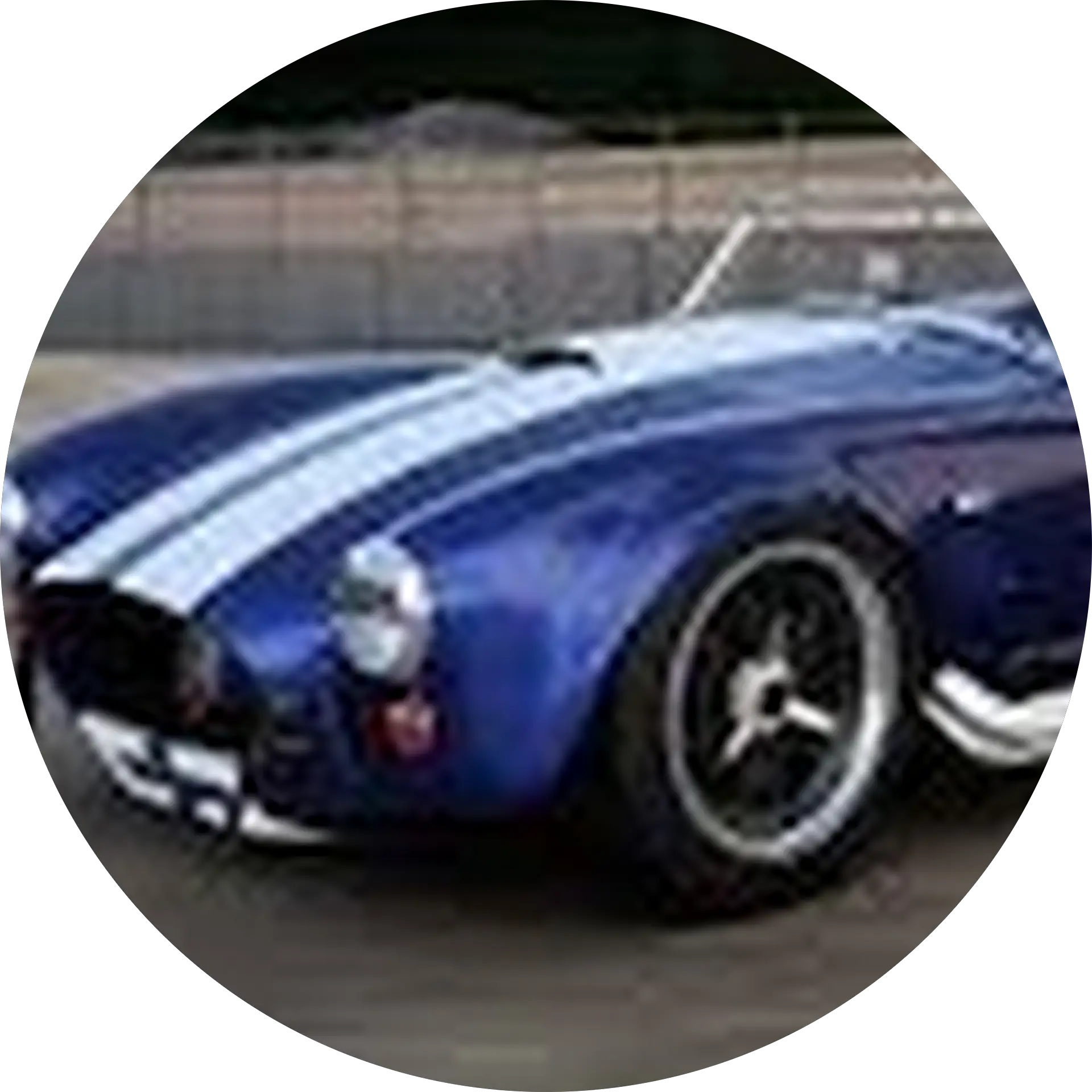 Shelby Procopio