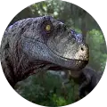 Raptor Anims