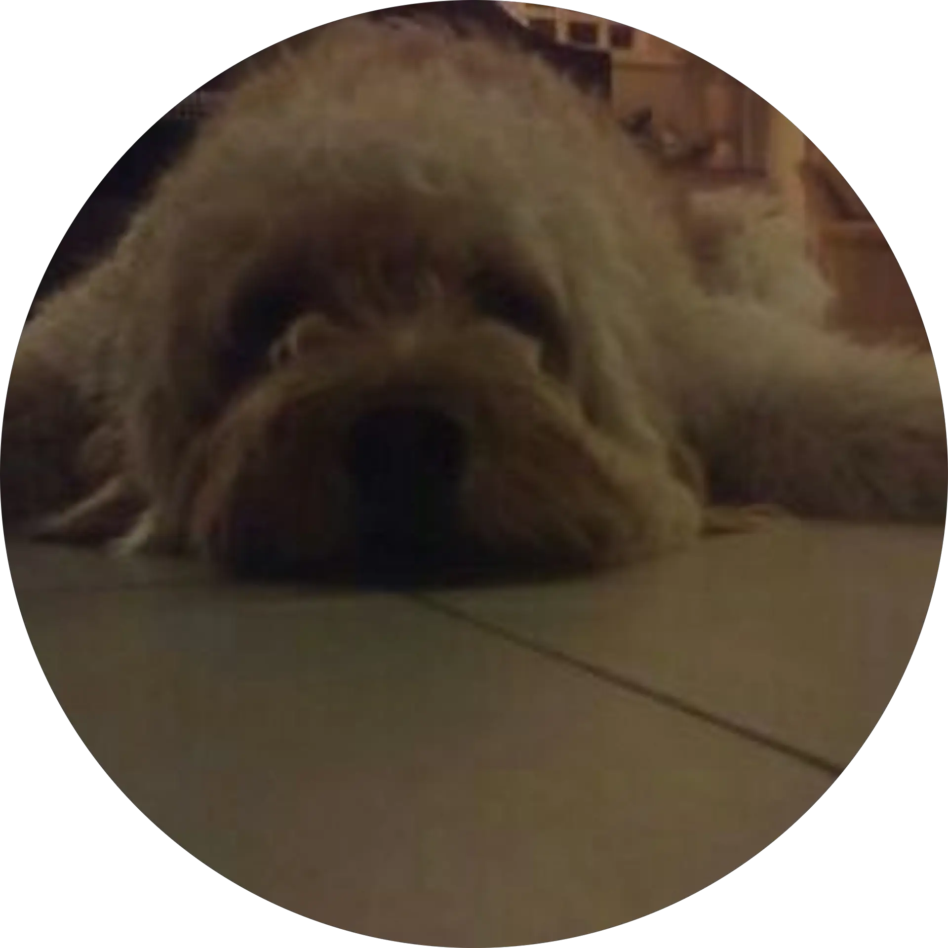 Sam