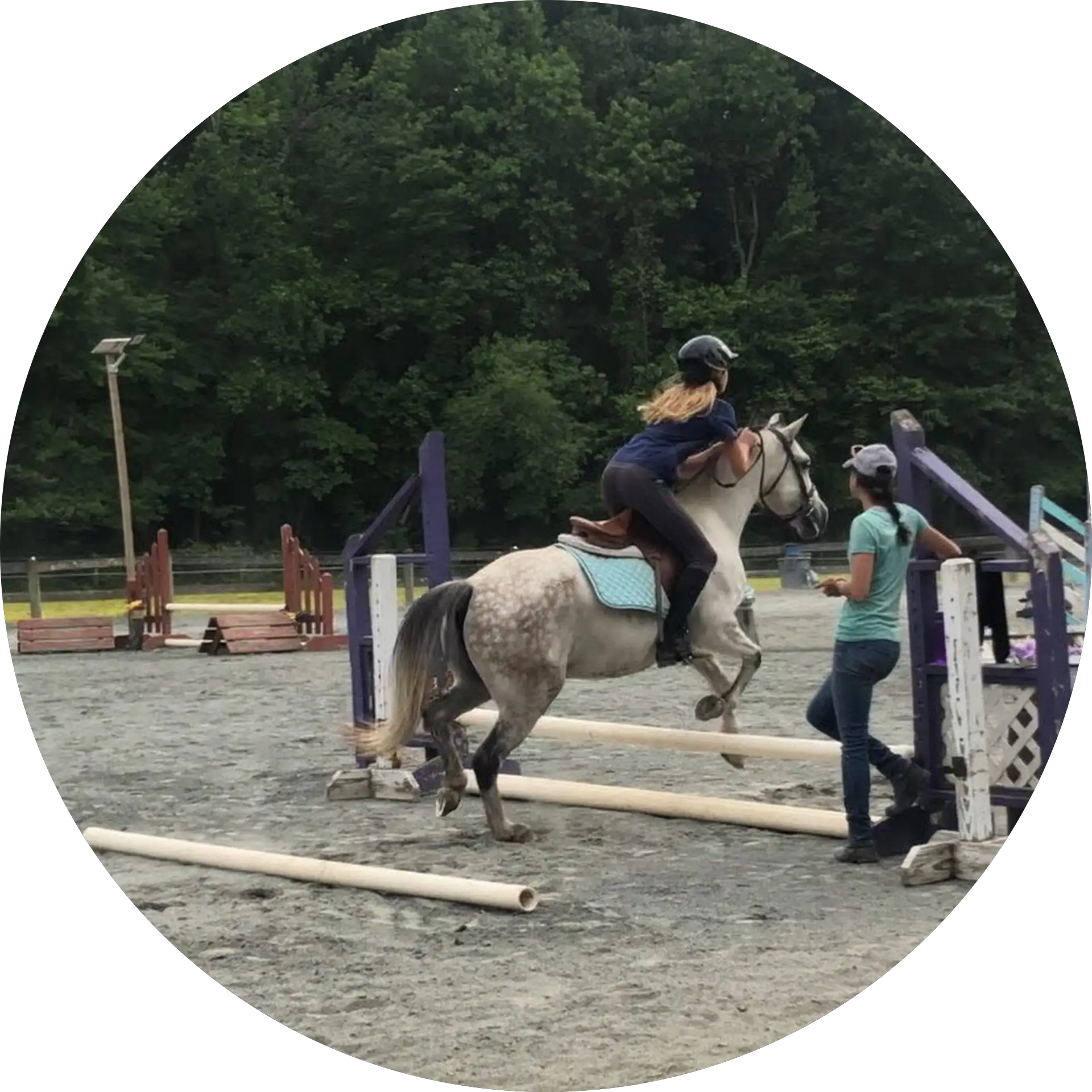 AnnaEqustrian