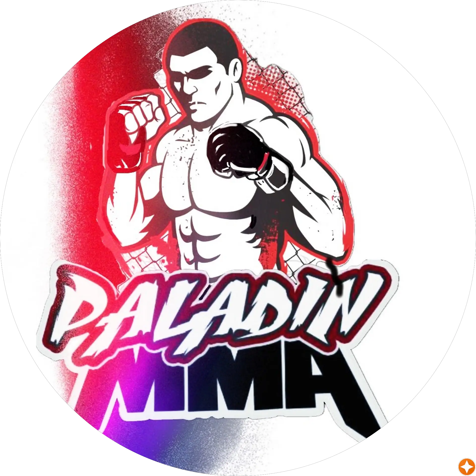 PALADIN MMA ACADEMY