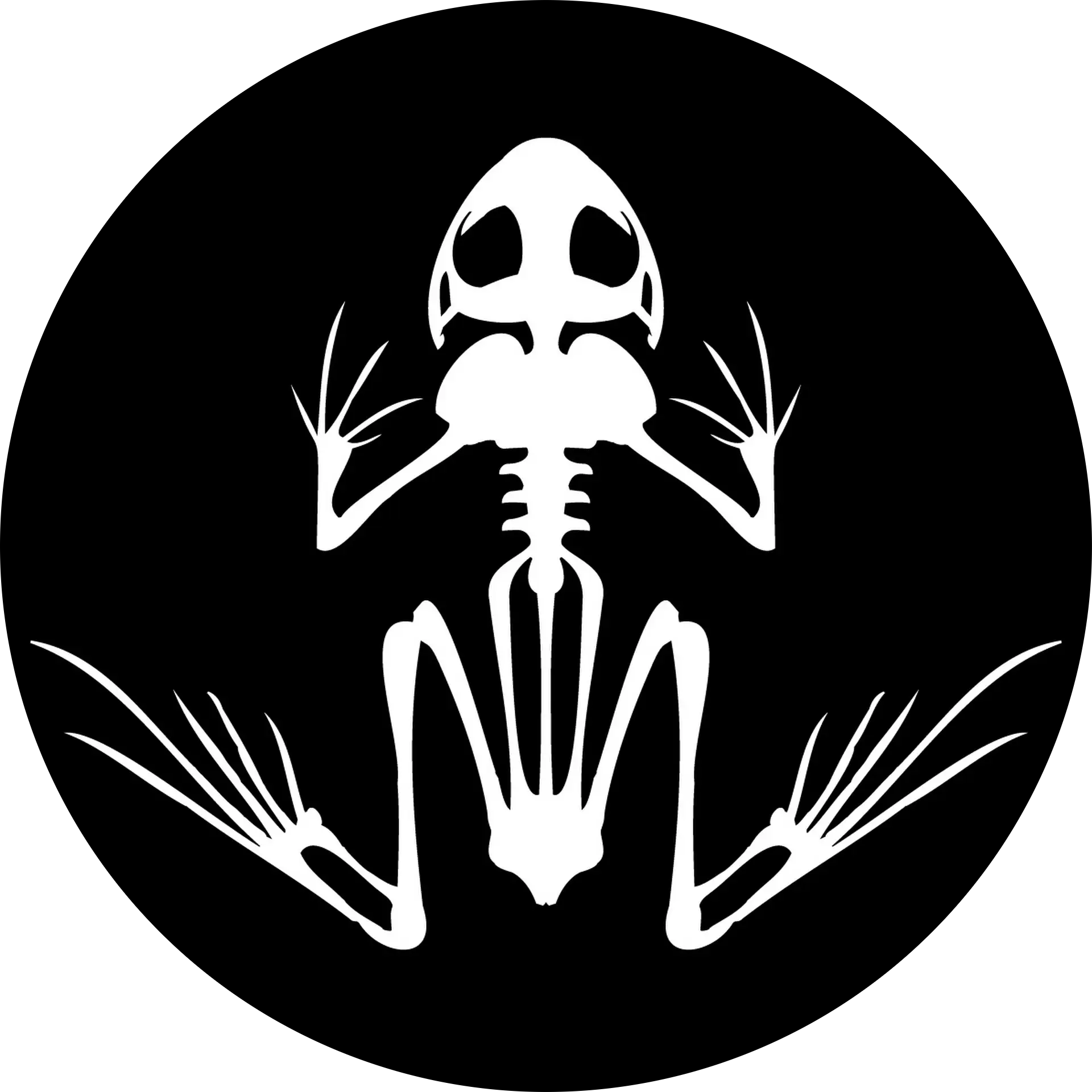 Toad Bones