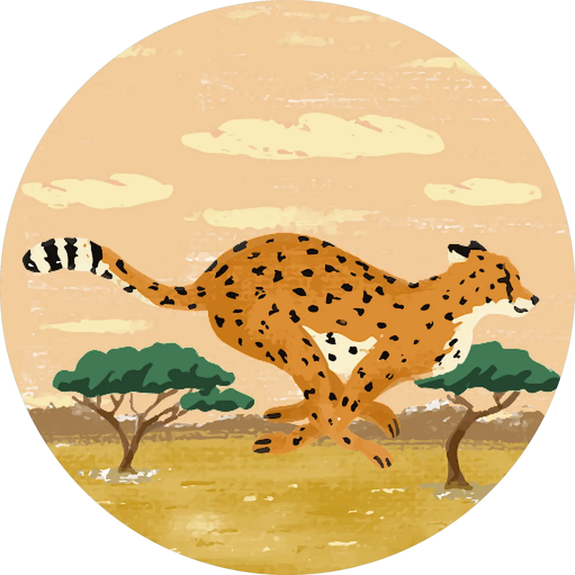 Cheetah Piper