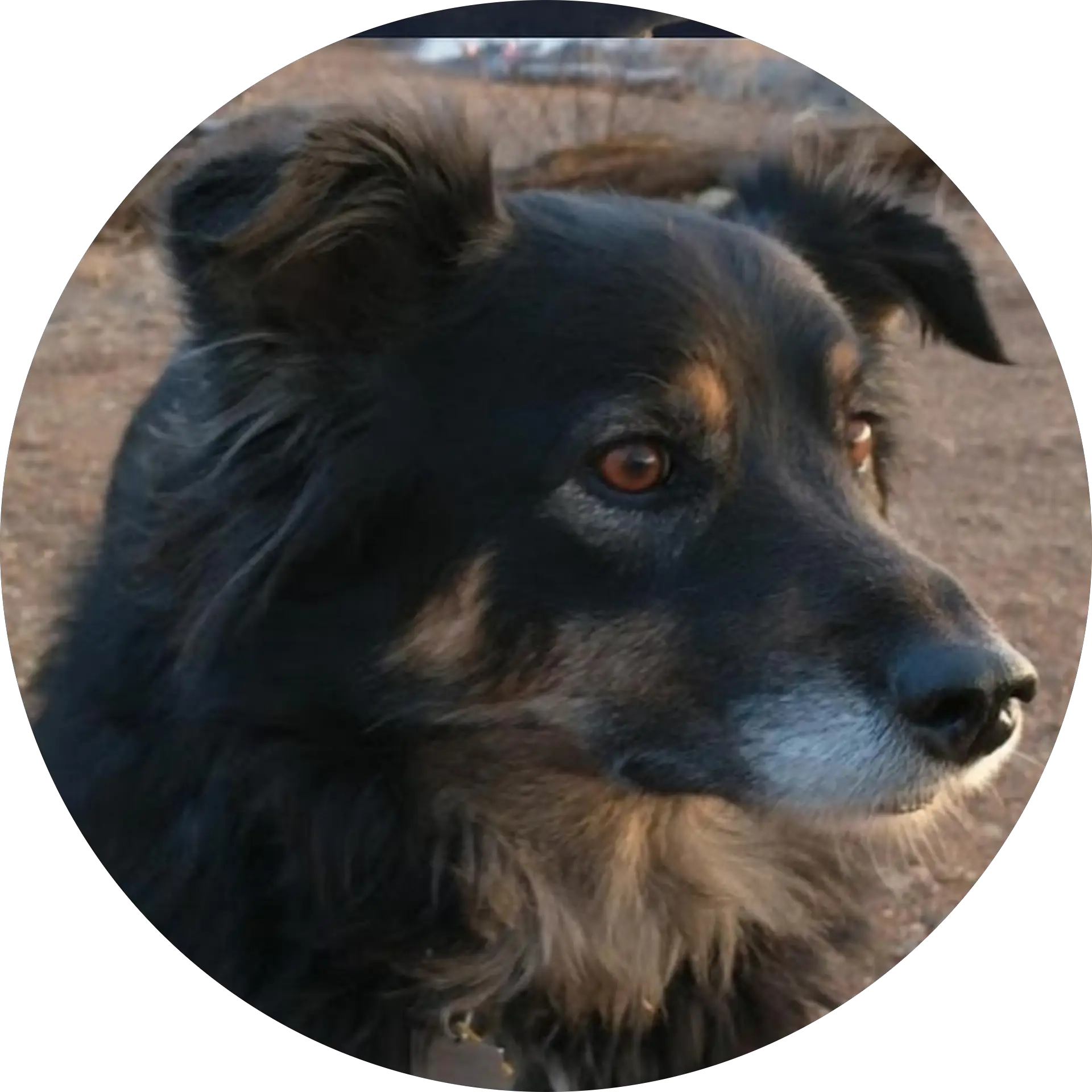 Grace Mott