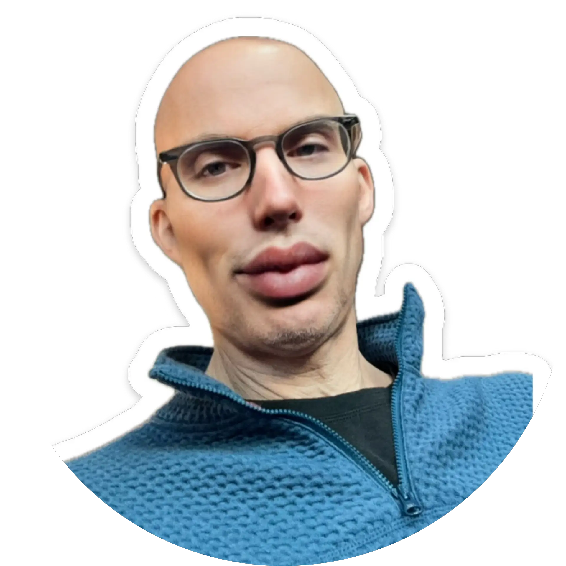Vincent J Santo