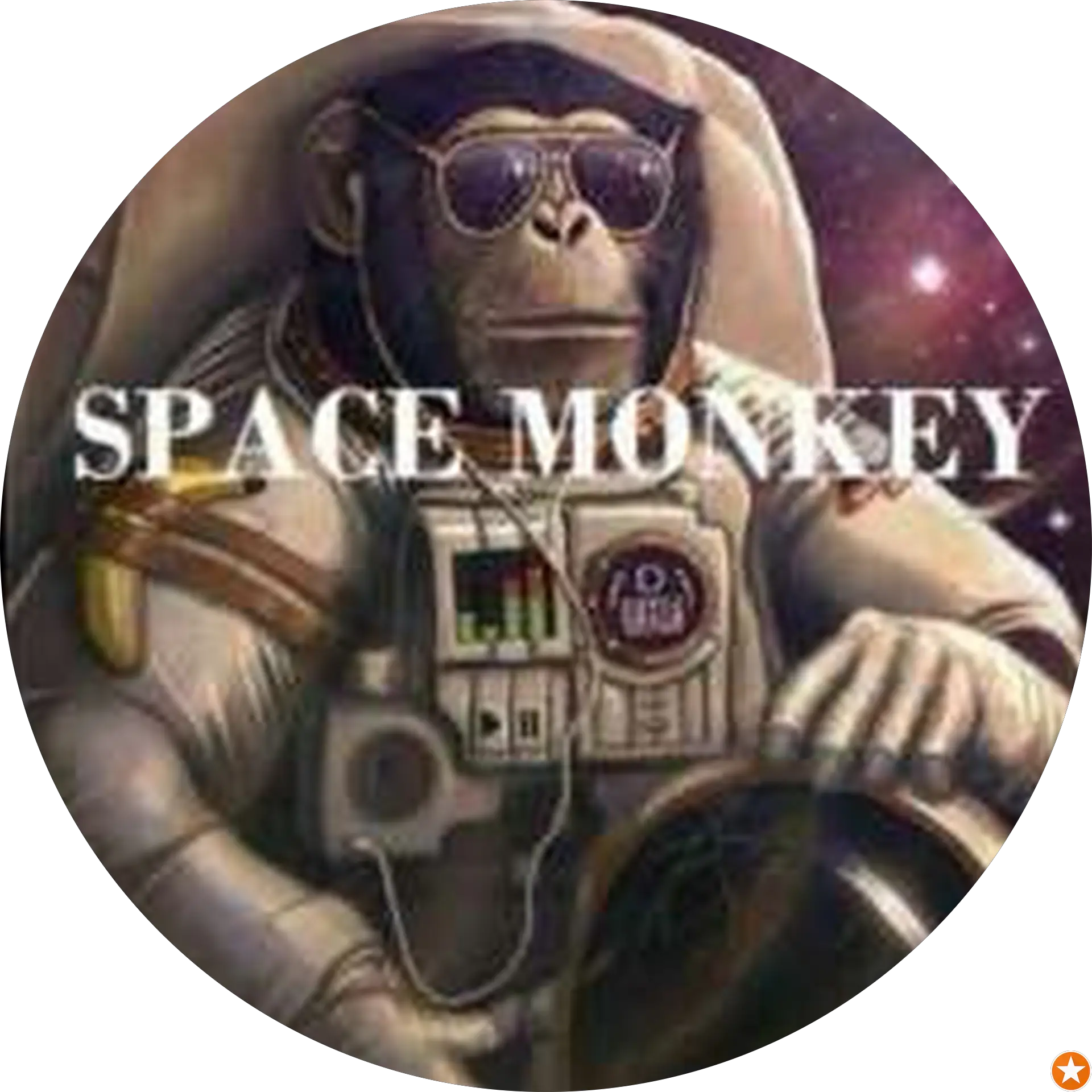 space monkey
