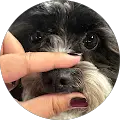 JE