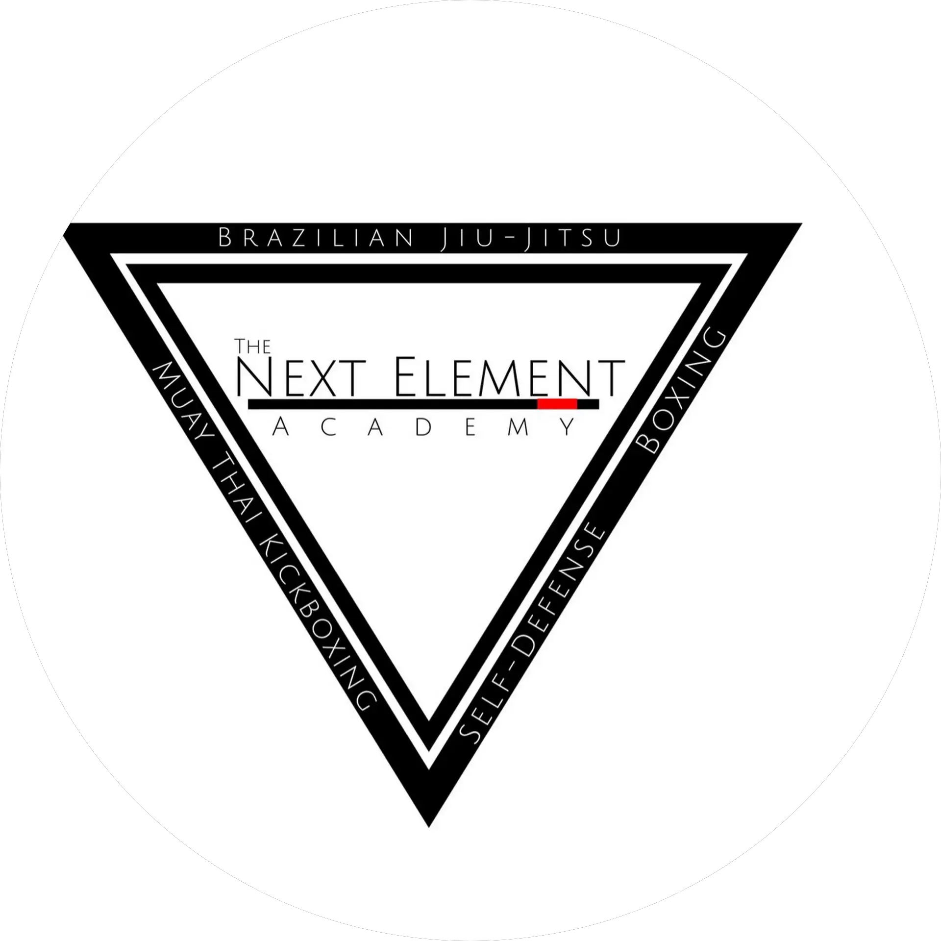 The Next Element Academy Dk