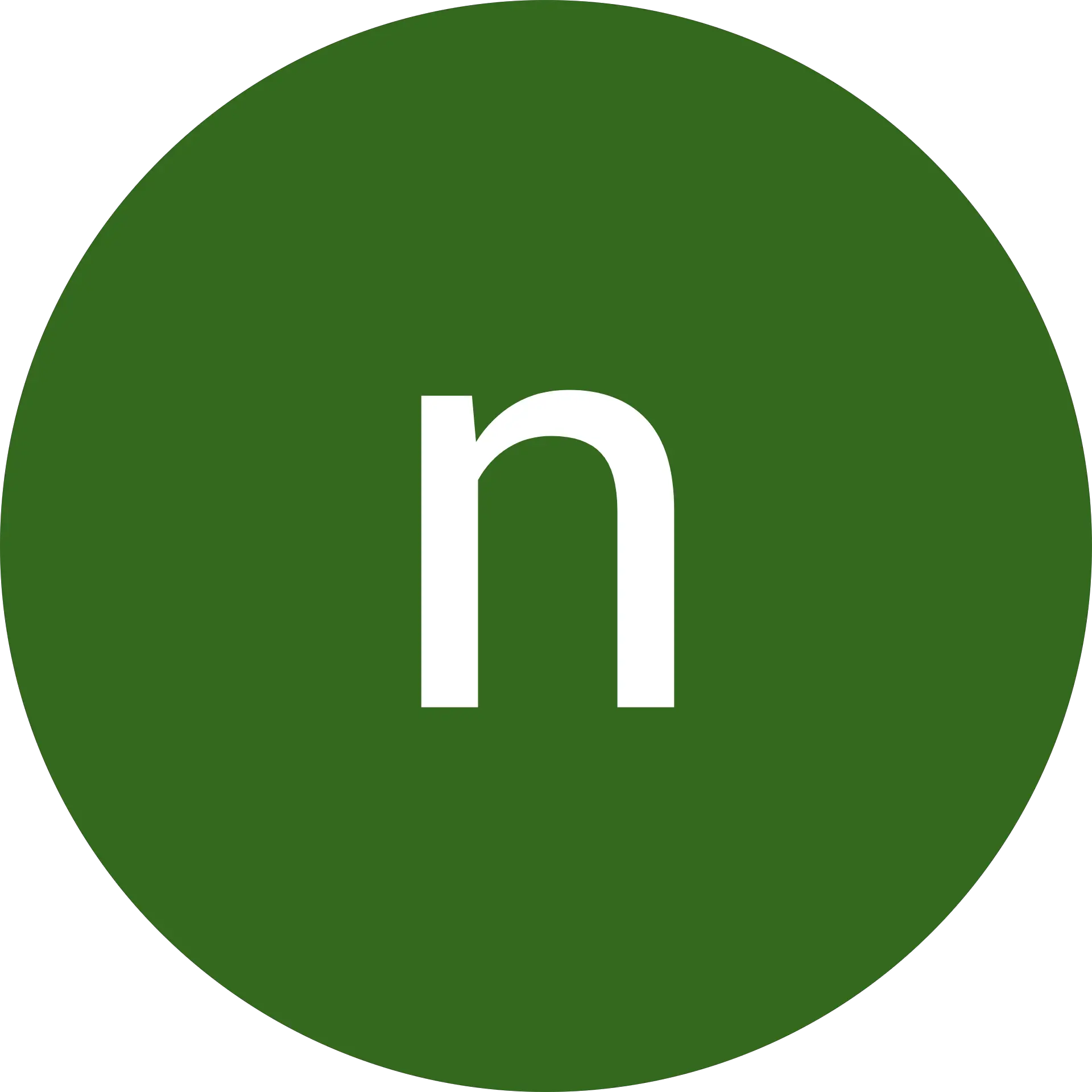 norm vidoni