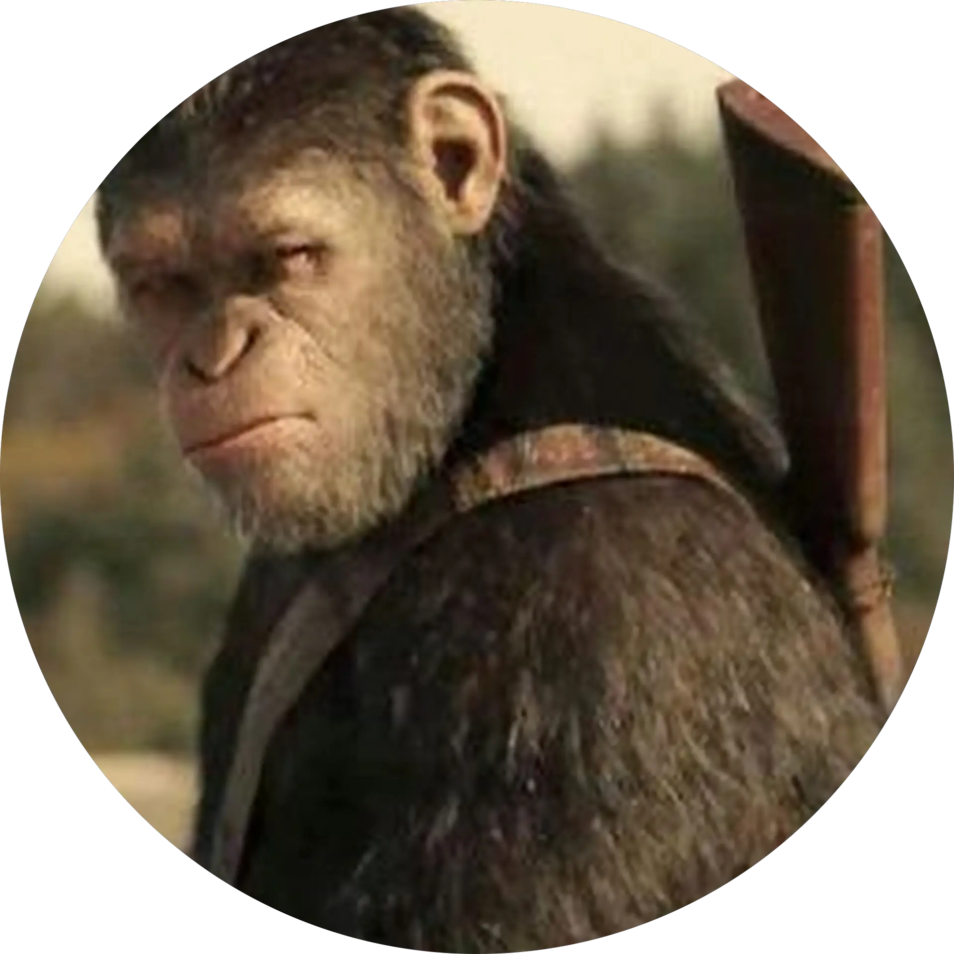 sp00kychimp _