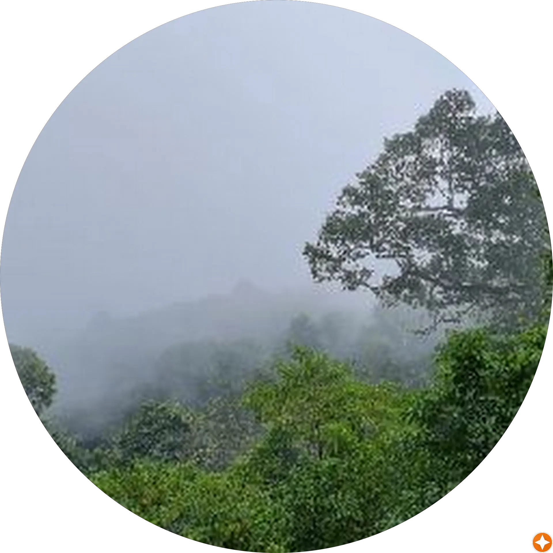 Jah S