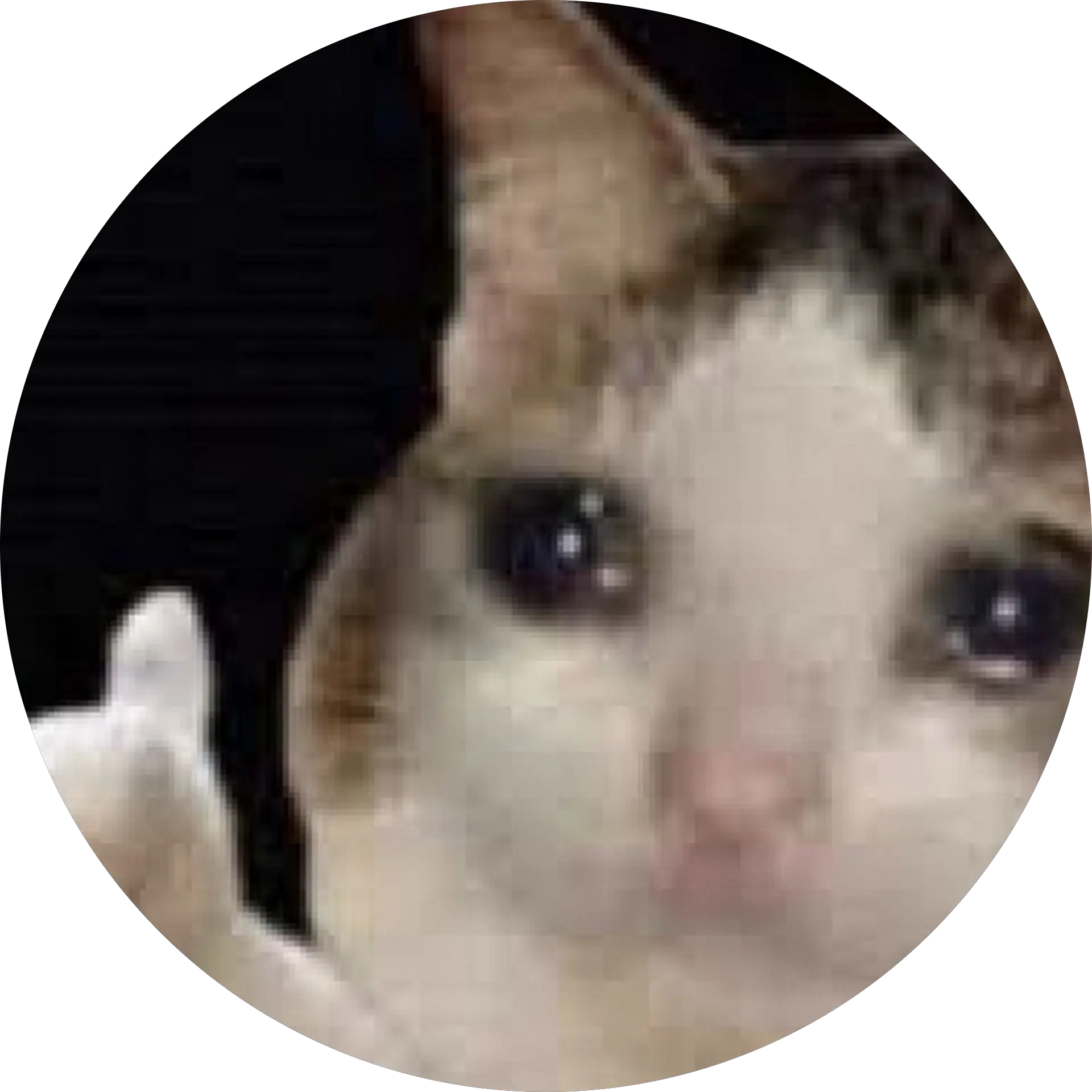 RᴀɴᴅᴏᴍAᴄᴄᴏᴜɴᴛ