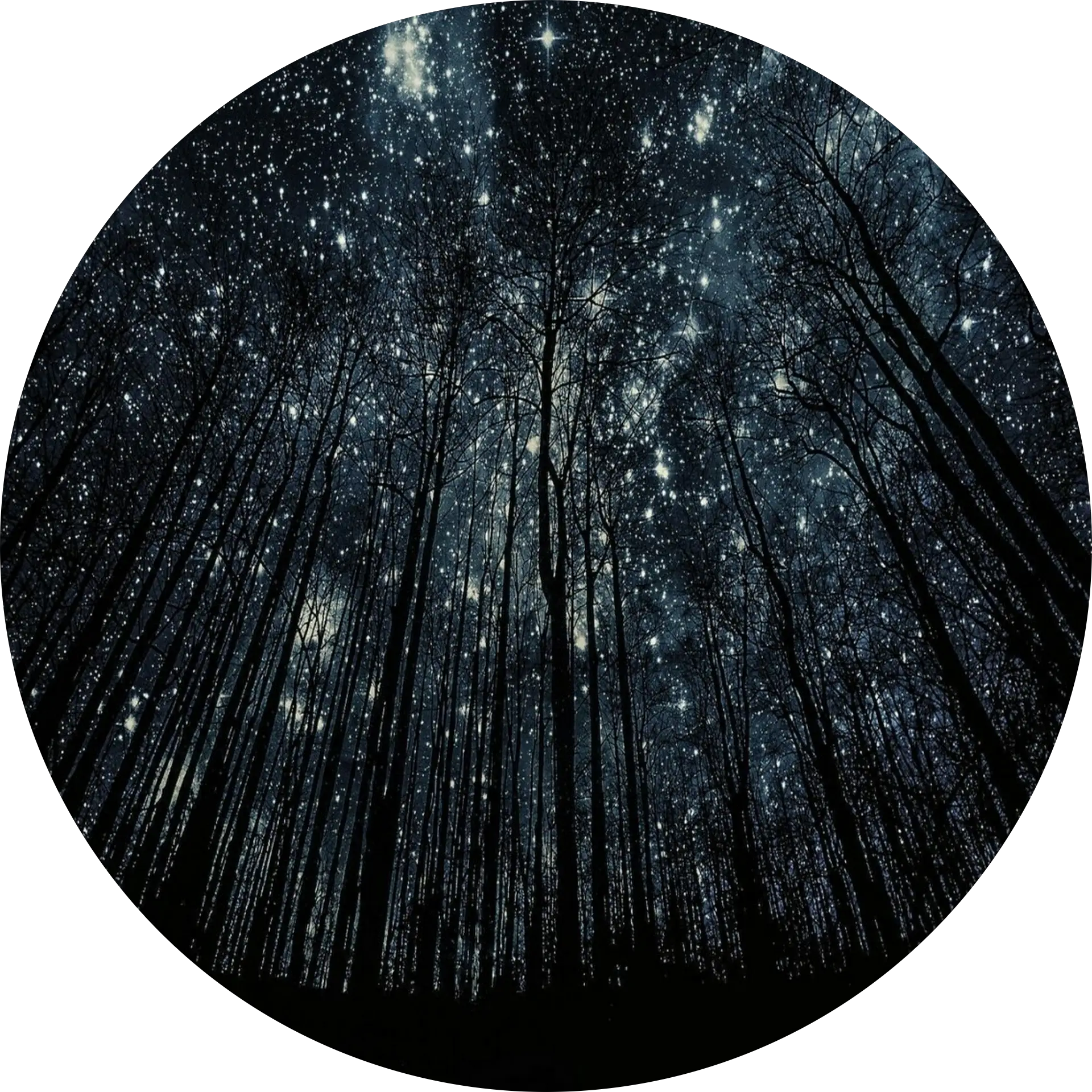 Andy Wilson