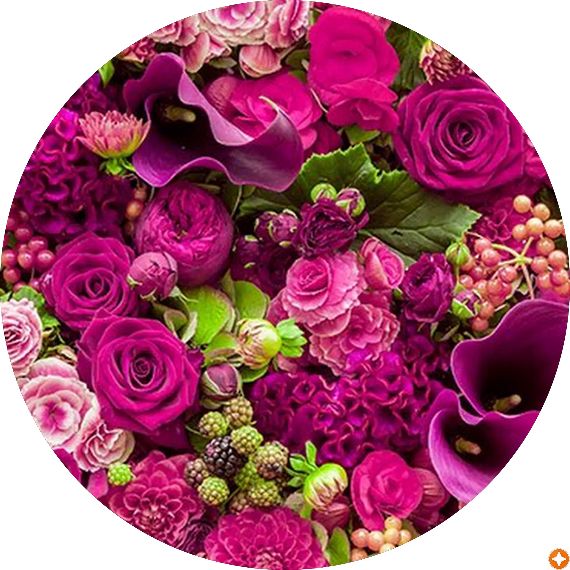 Zenab Awan