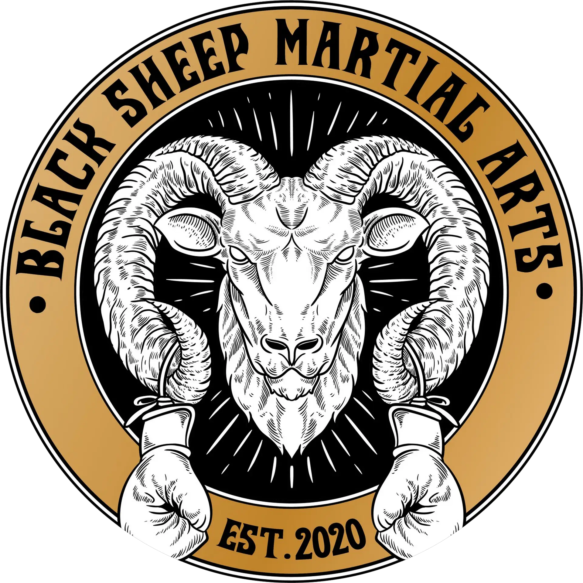 Black Sheep Martial Arts