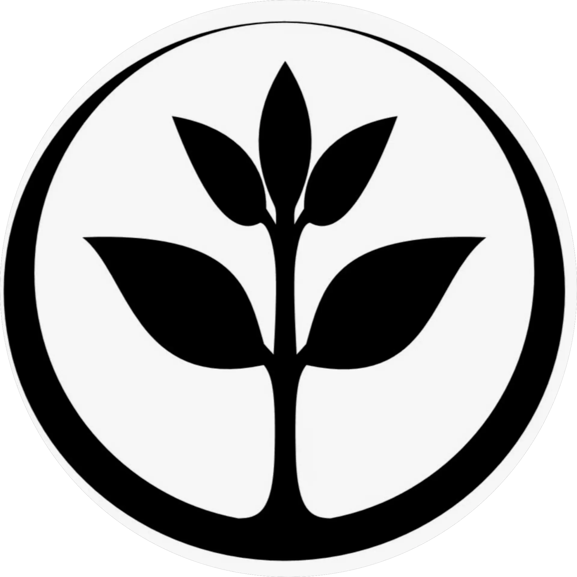 Natural Cosmetics