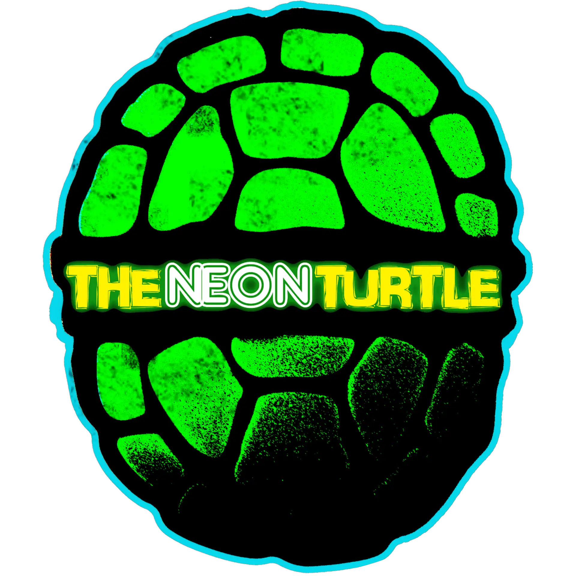 Damion Maynard (The Neon Turtle)