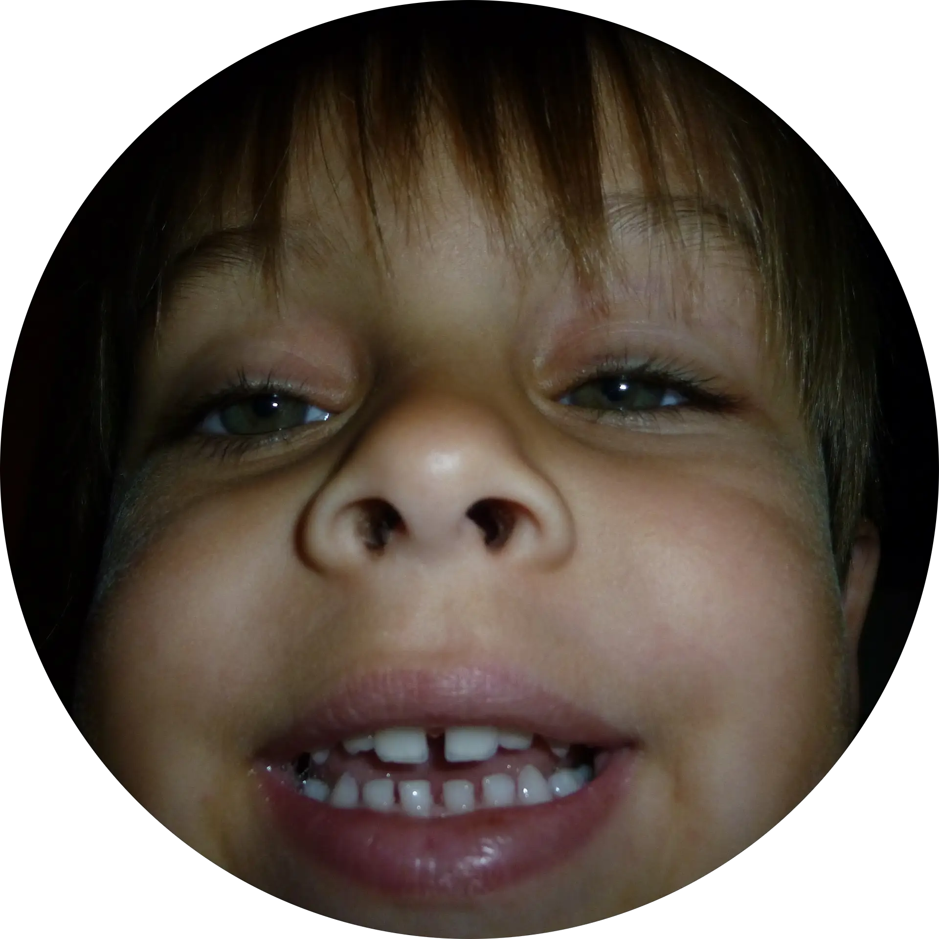 Brad