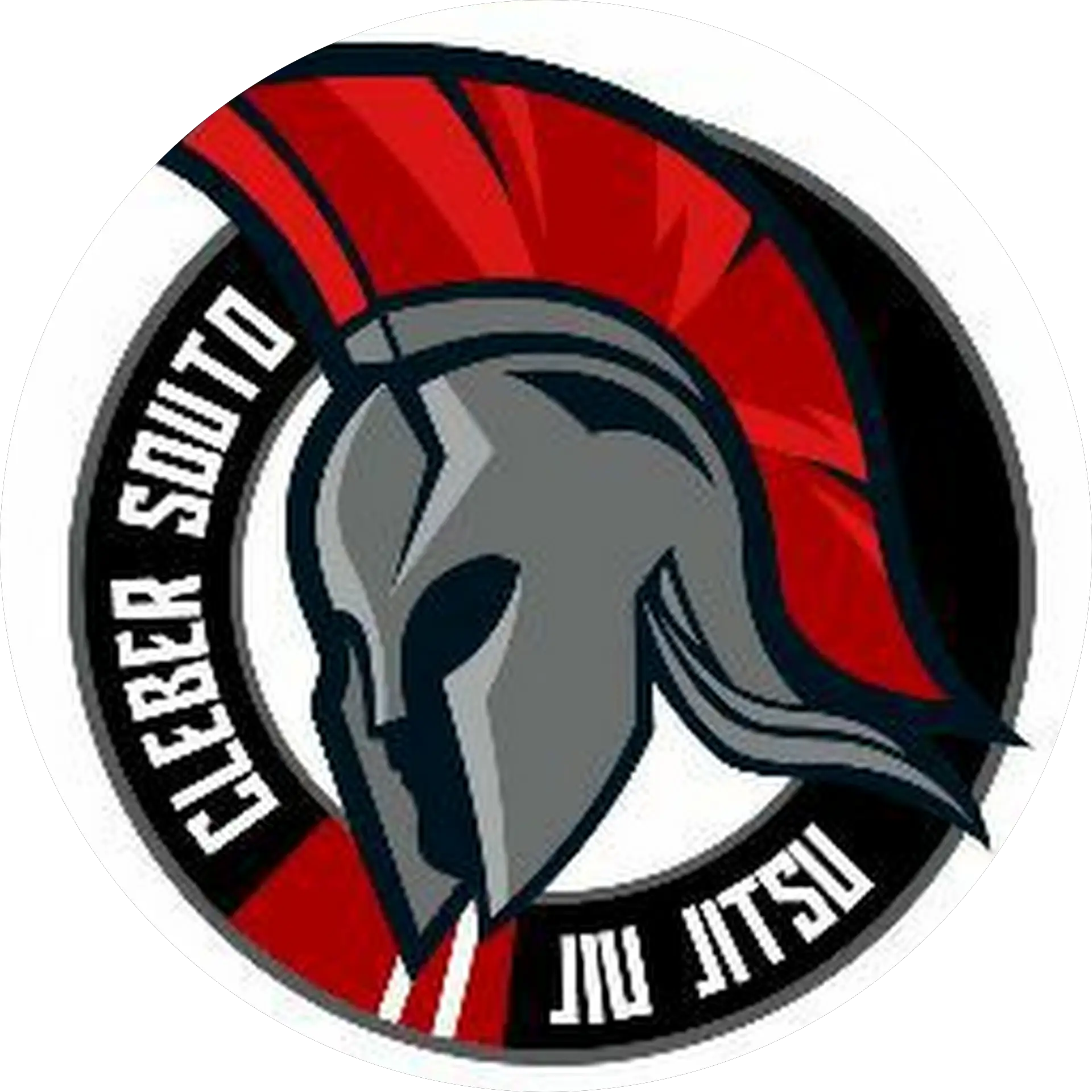 Cleber Souto Brazilian JiuJitsu