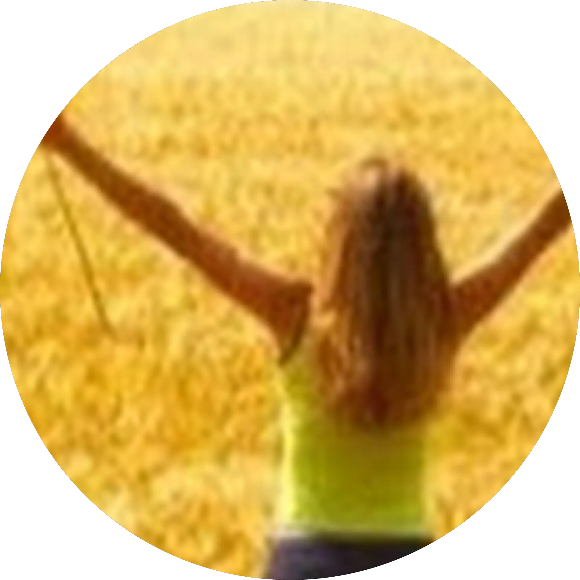 TheJoyful Spirit