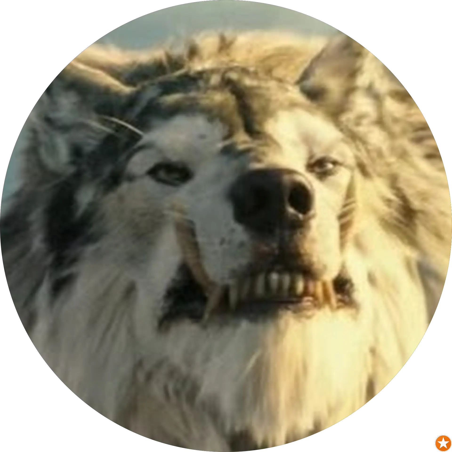That Wolf Guy