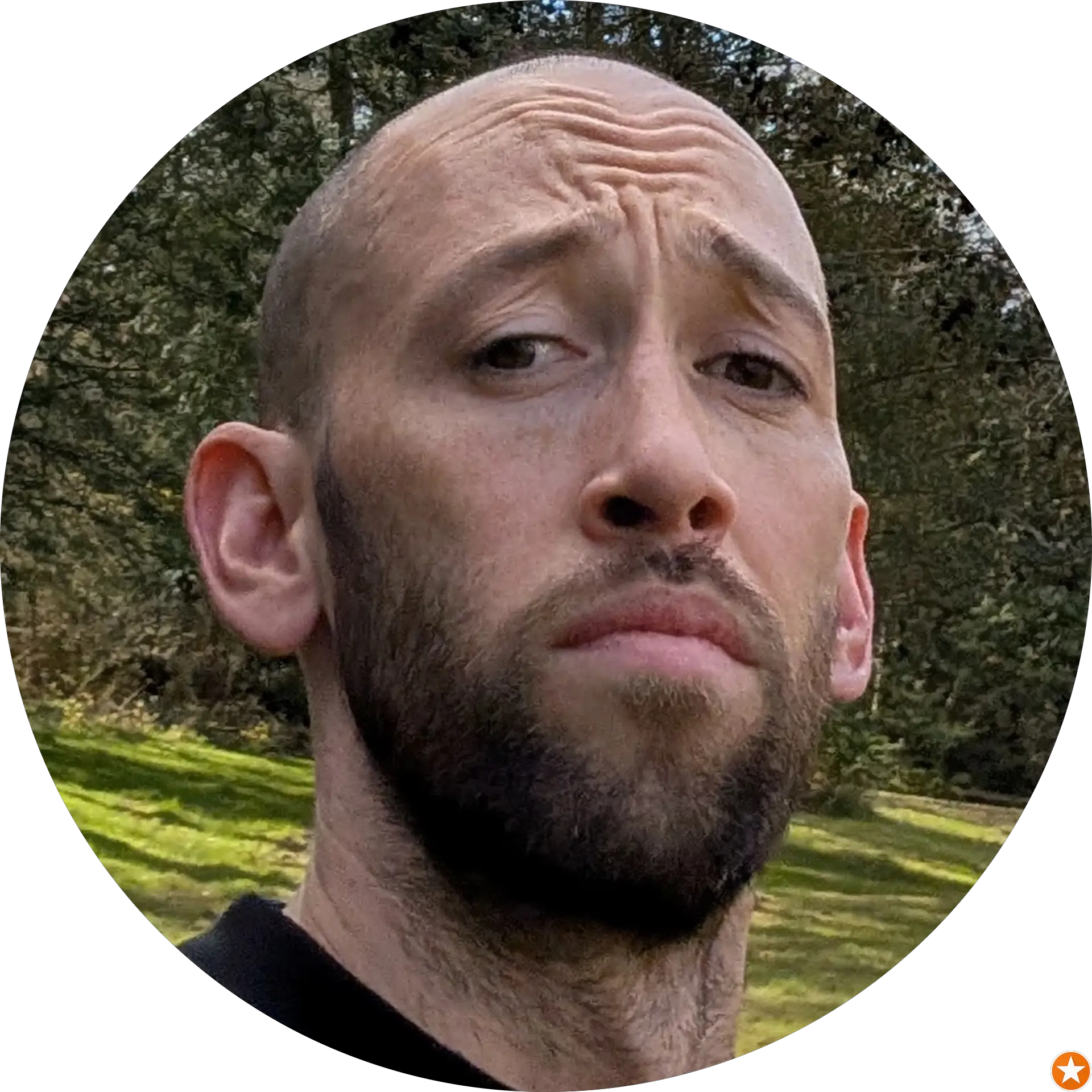 Dan Bergman