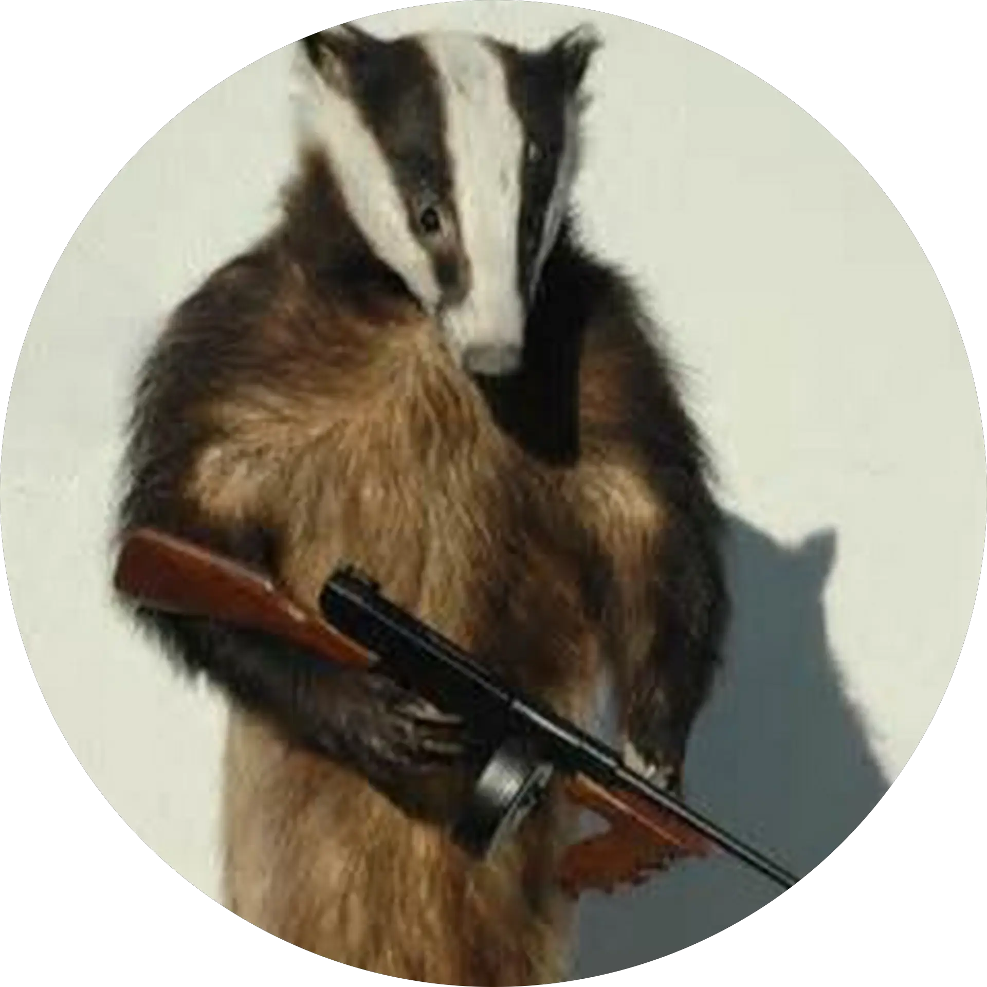 Daniel Collins