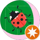 Jakeline Crocetti Oliveira