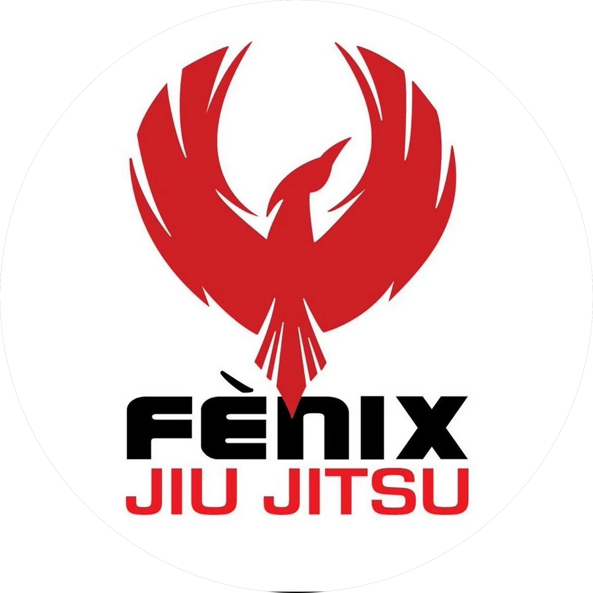 Fenix Jiu Jitsu