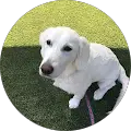 Bonnie Jones