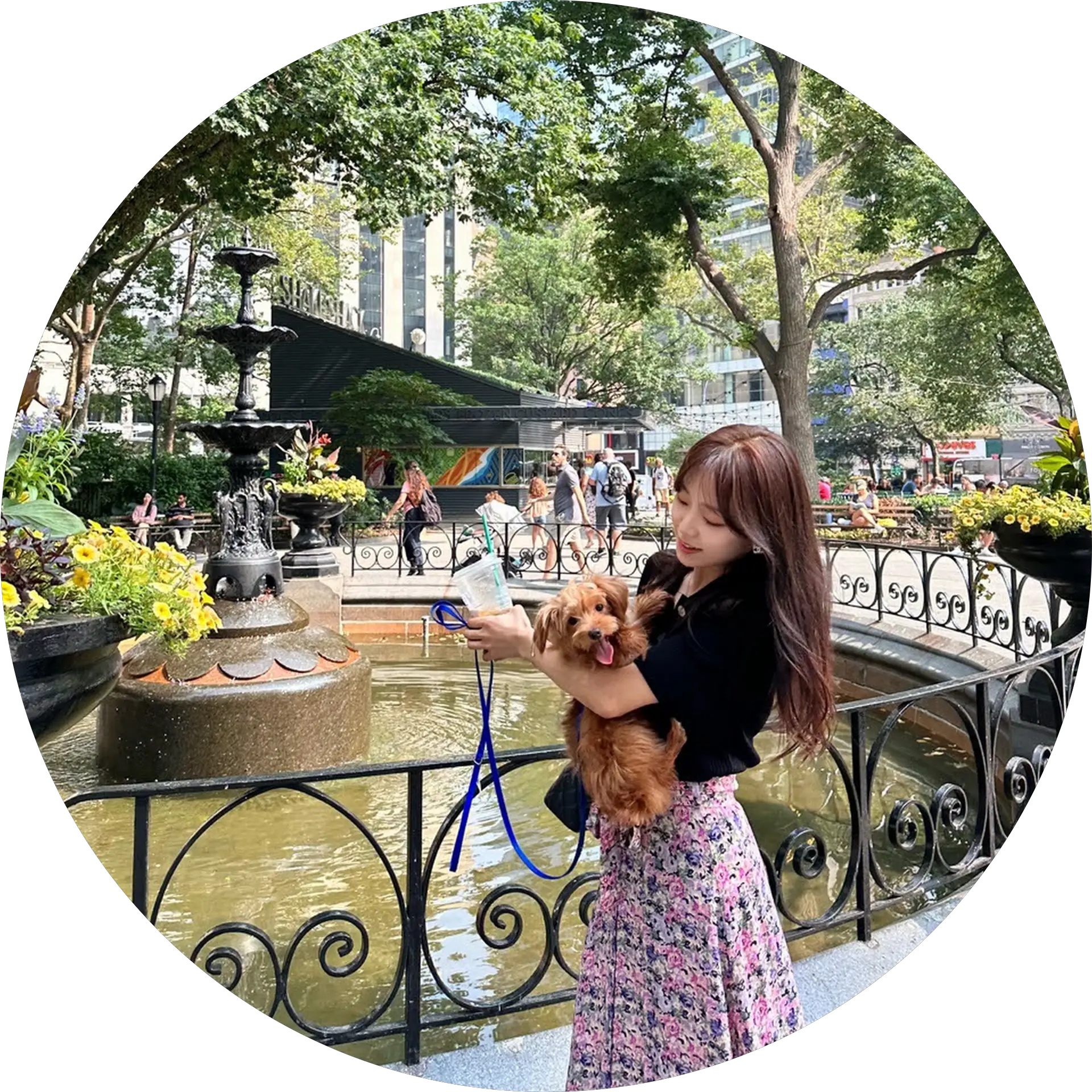 다뉴
