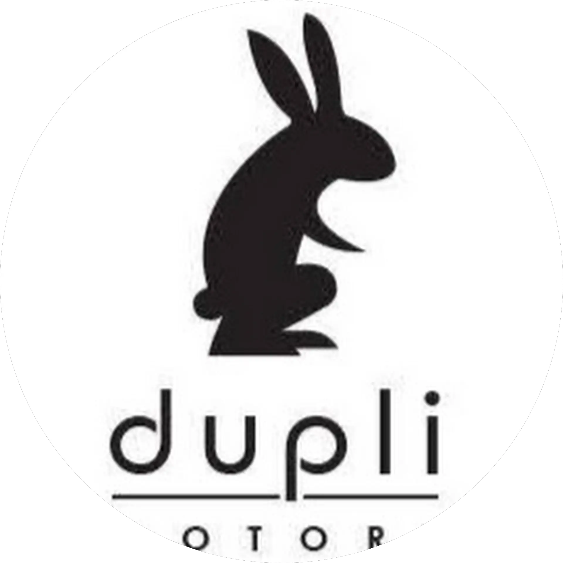 Dupli Motors